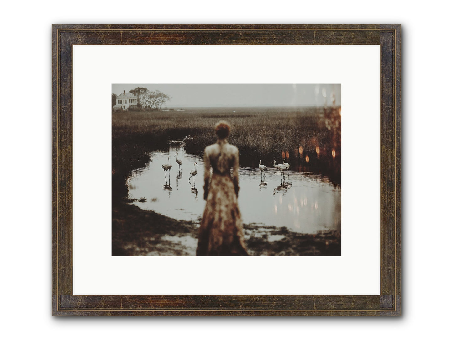 Instructions for Flight Framed Print - Slimwoods Black/Gold 12x9