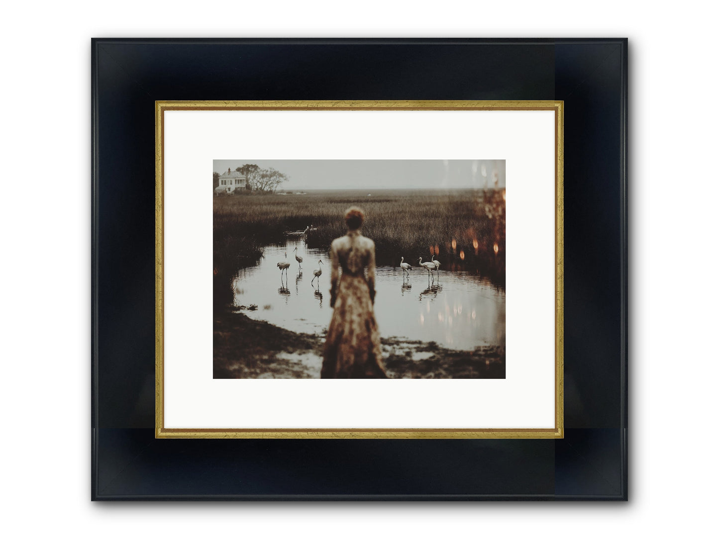 Instructions for Flight Framed Print - Wide Black w/Gold 12x9