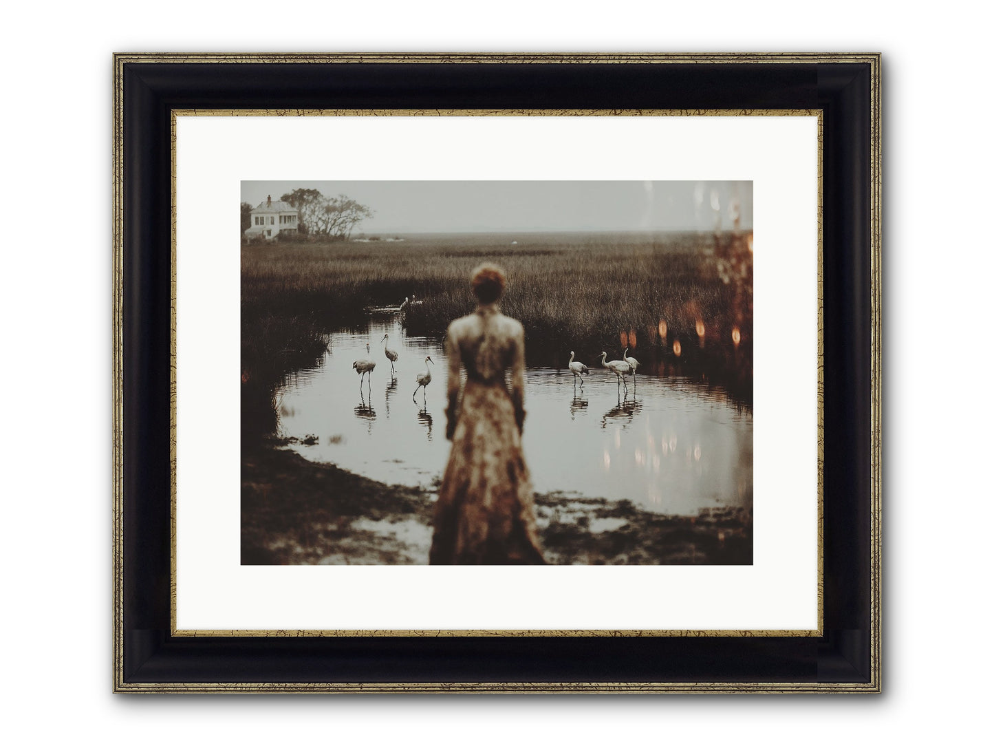 Instructions for Flight Framed Print - Black & Gold 16x12