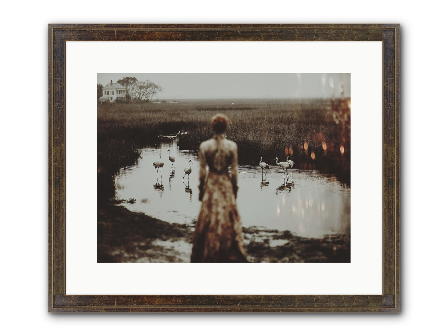 Instructions for Flight Framed Print - Slimwoods Black/Gold 16x12