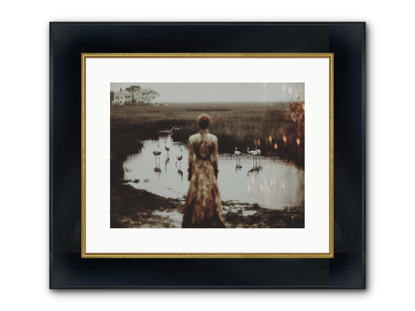 Instructions for Flight Framed Print - Wide Black w/Gold 16x12