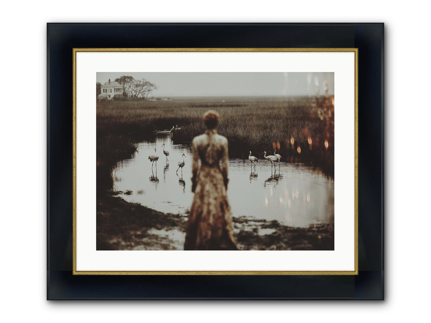Instructions for Flight Framed Print - Wide Black w/Gold 24x18