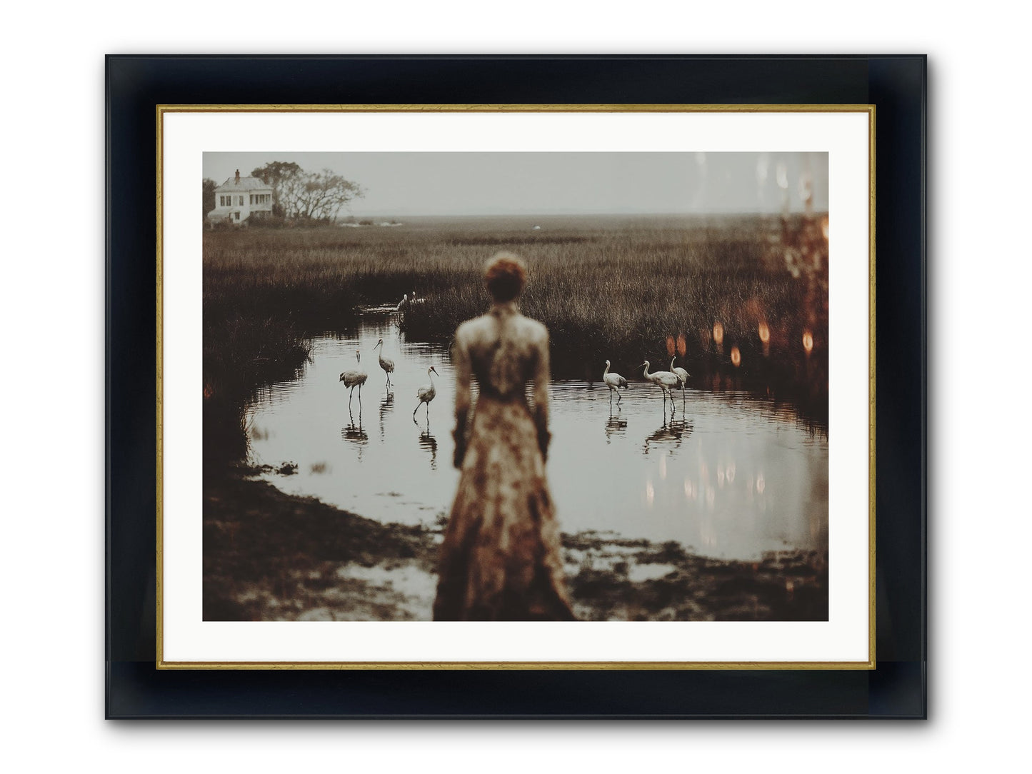 Instructions for Flight Framed Print - Wide Black w/Gold 32x24