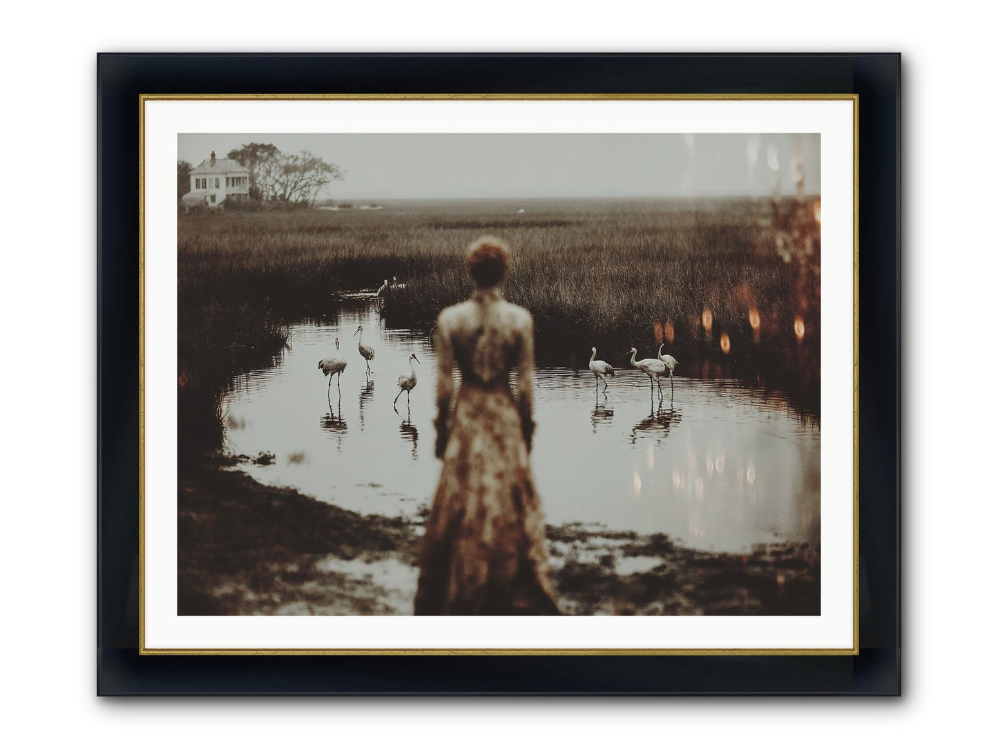Instructions for Flight Framed Print - Wide Black w/Gold 40x30