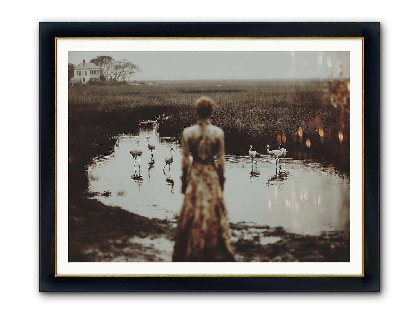 Instructions for Flight Framed Print - Wide Black w/Gold 48x36