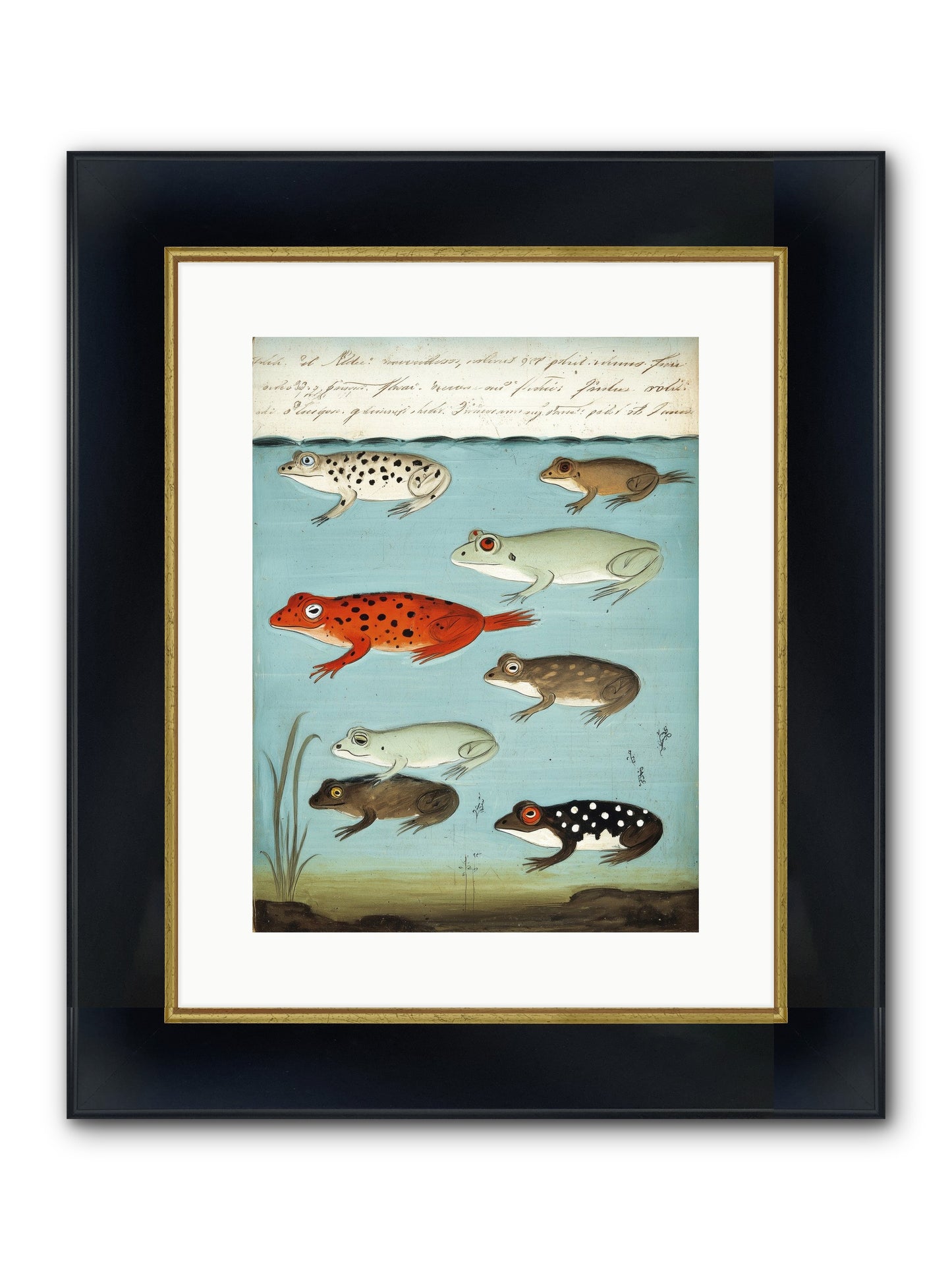 Jeweled Gathering Framed Print - Wide Black w/Gold 12x16