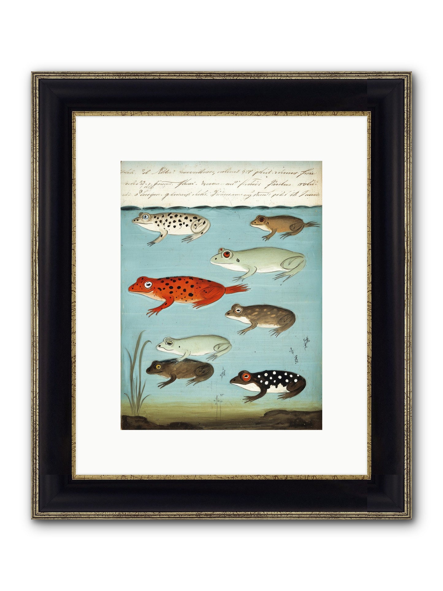 Jeweled Gathering Framed Print - Black & Gold 9x12