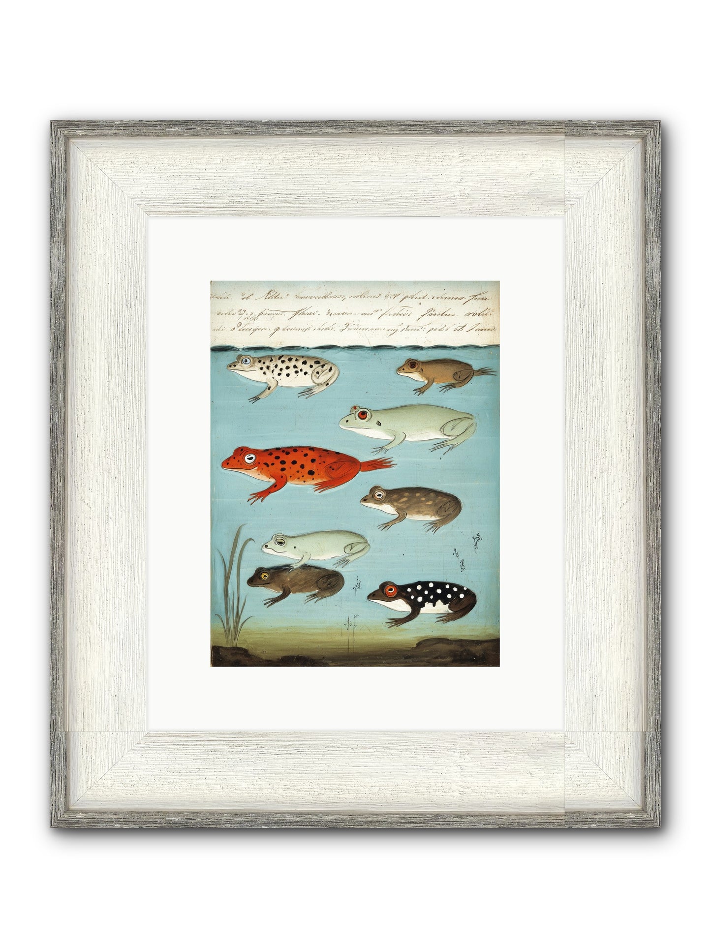 Jeweled Gathering Framed Print - Driftwood White 9x12