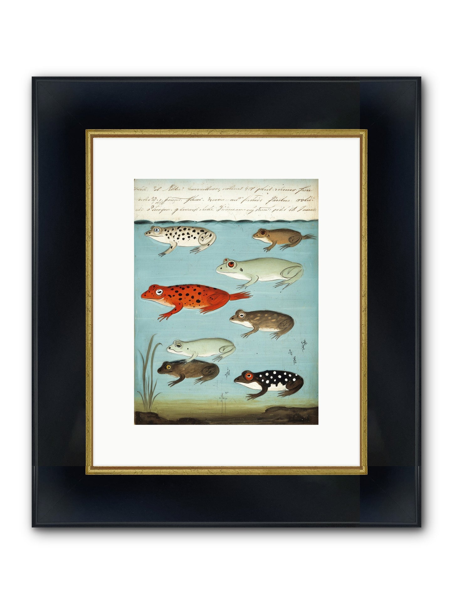 Jeweled Gathering Framed Print - Wide Black w/Gold 9x12