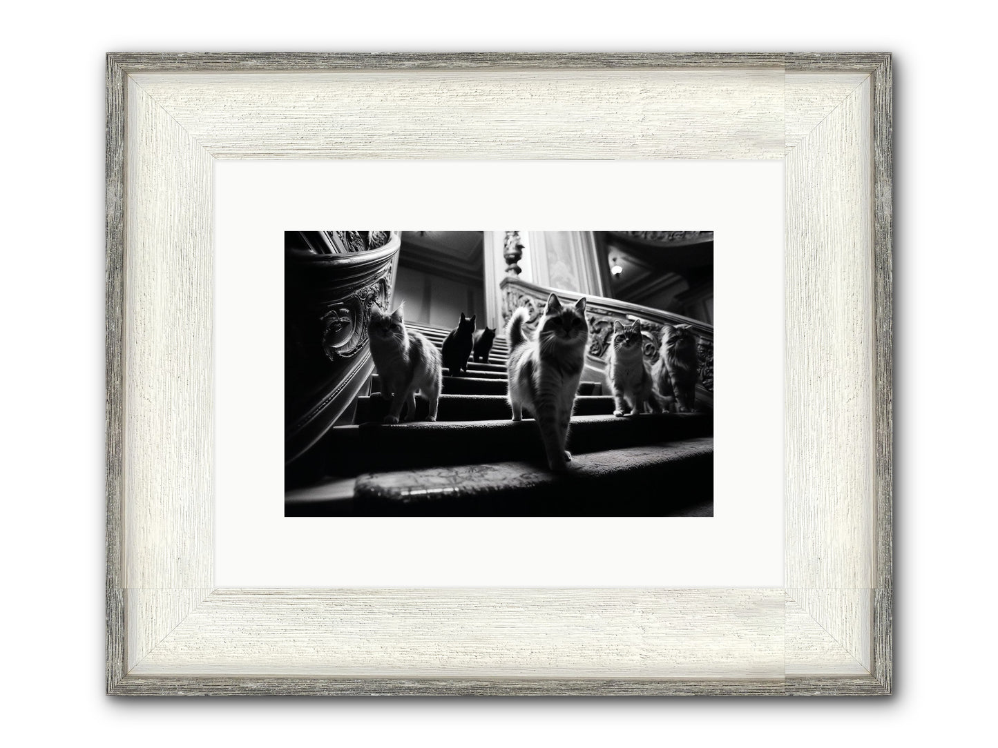 Les Chats Framed Print - Driftwood White 12x8