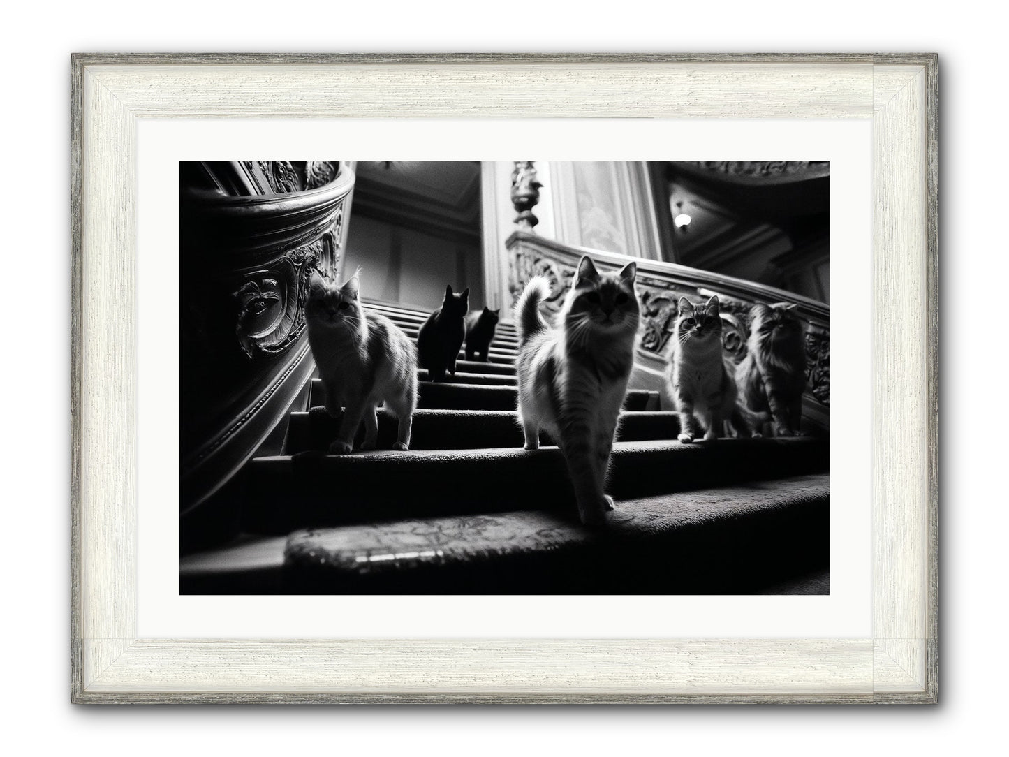 Les Chats Framed Print - Driftwood White 30x20