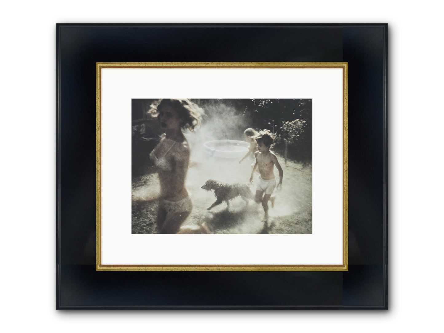 Performing Wildness Framed Print - Wide Black w/Gold 12x9