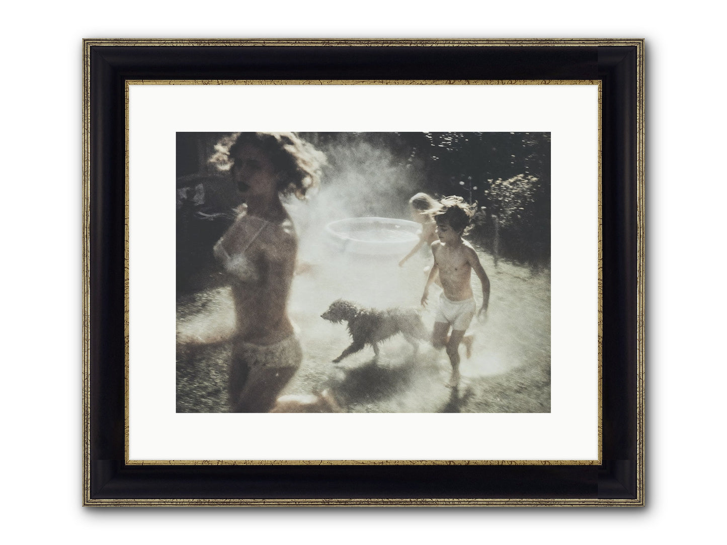 Performing Wildness Framed Print - Black & Gold 16x12