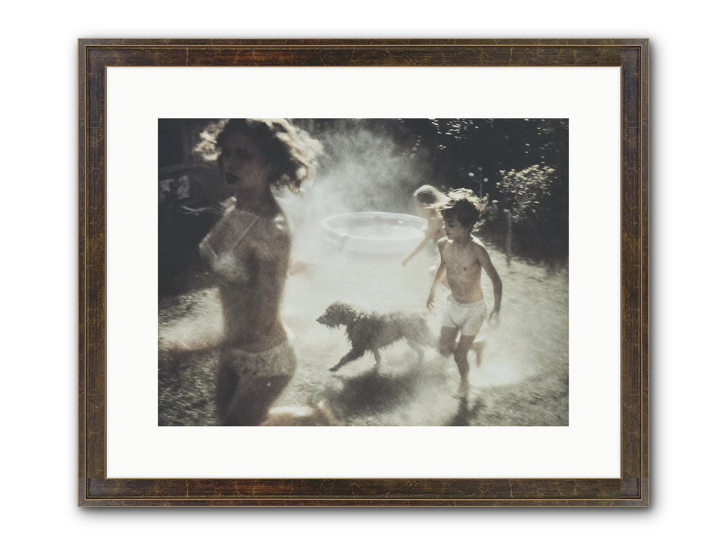 Performing Wildness Framed Print - Slimwoods Black/Gold 16x12