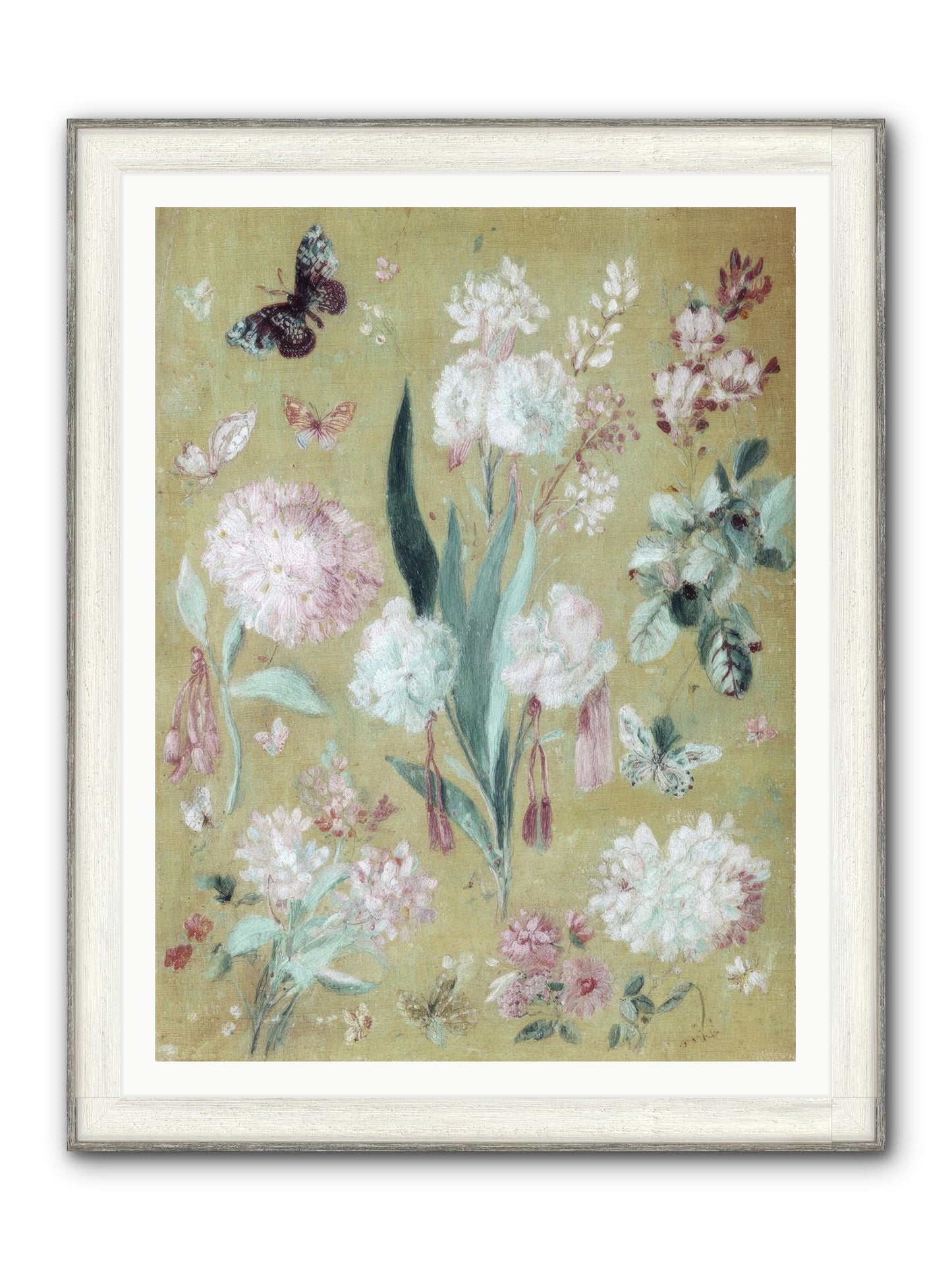 Plumfield Correspondence Framed Print - Driftwood White 36x48