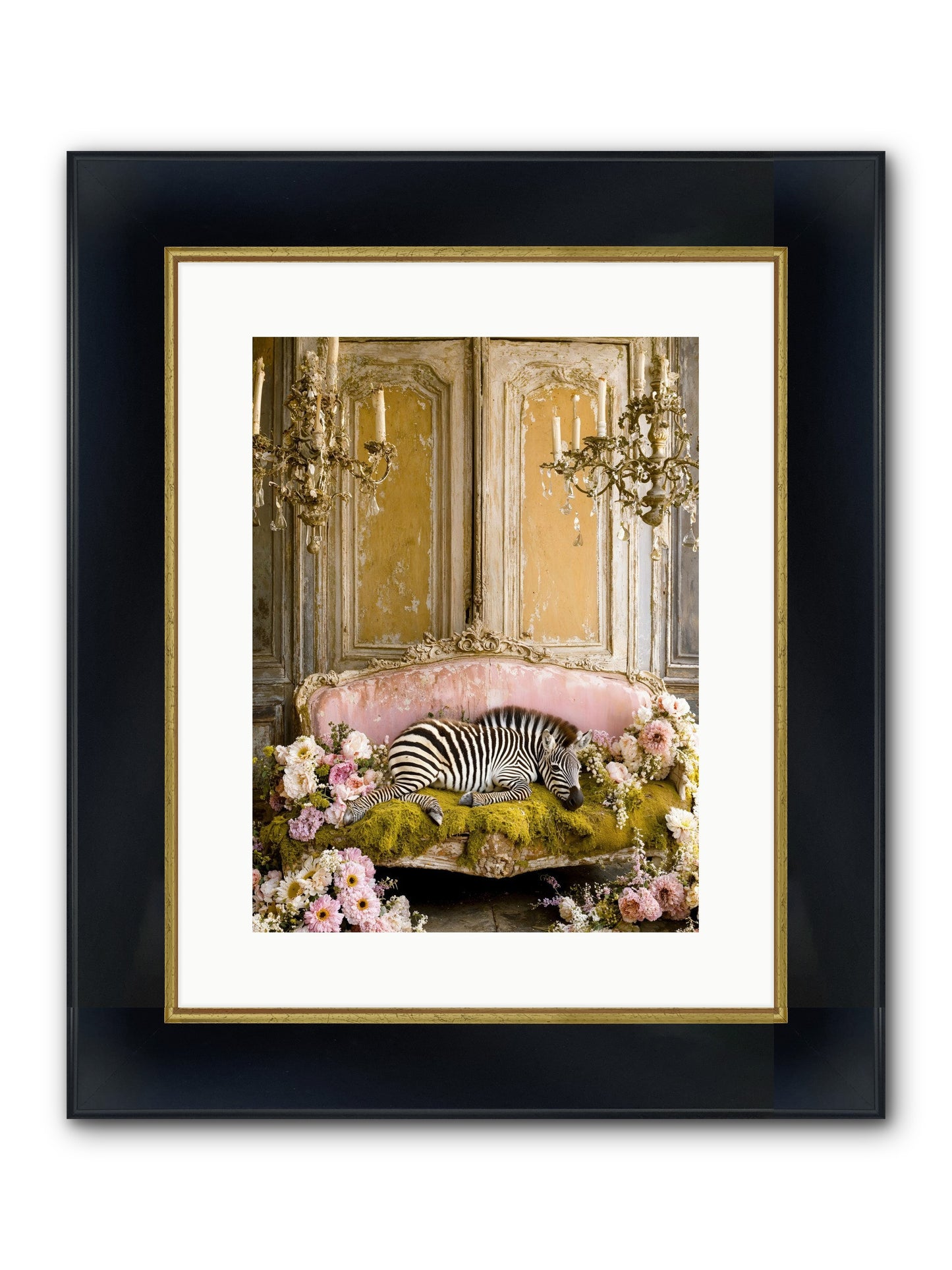 Sanctuary Of Wild Wonder Framed Print - Wide Black w/Gold 12x16