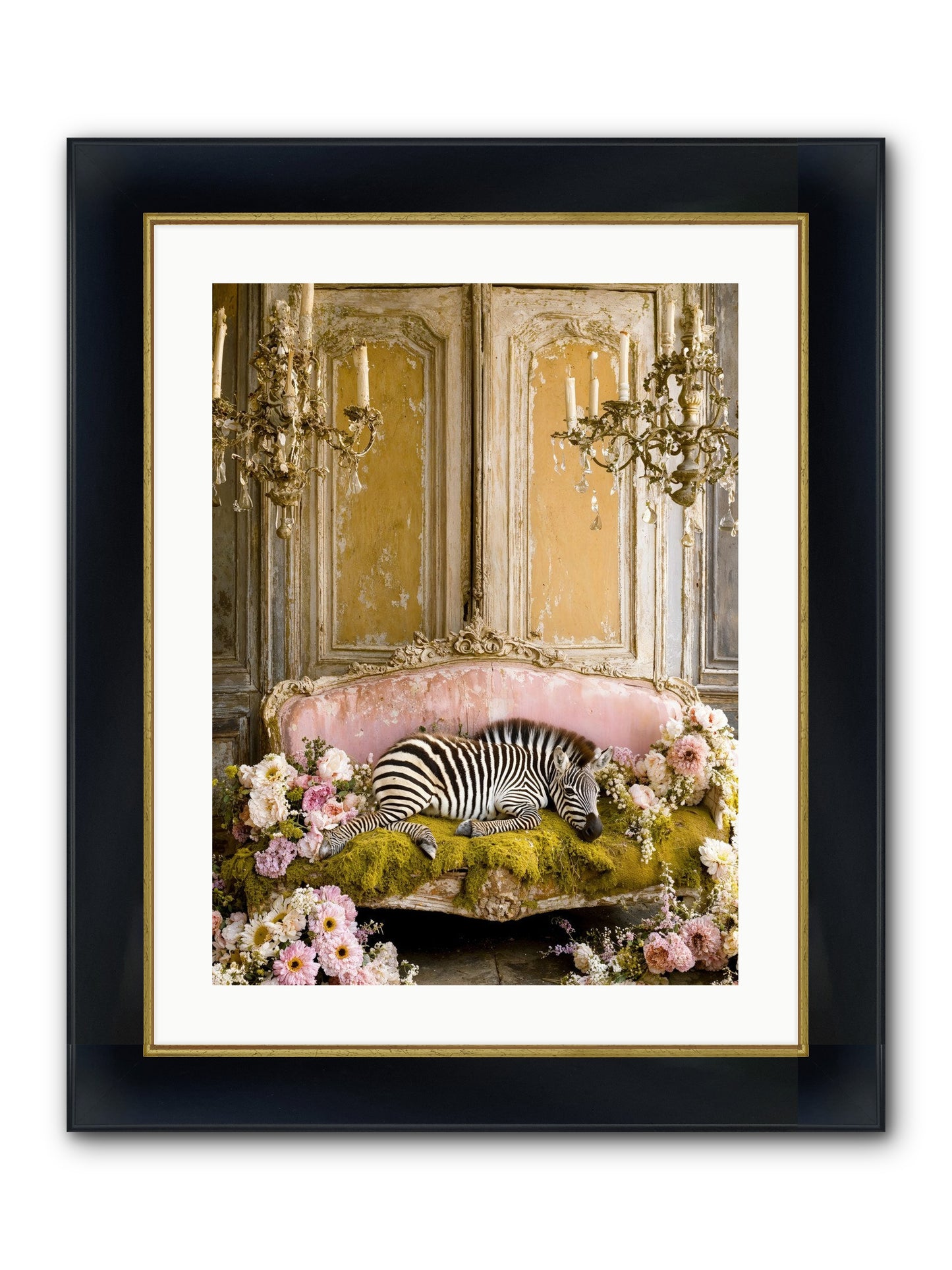 Sanctuary Of Wild Wonder Framed Print - Wide Black w/Gold 18x24
