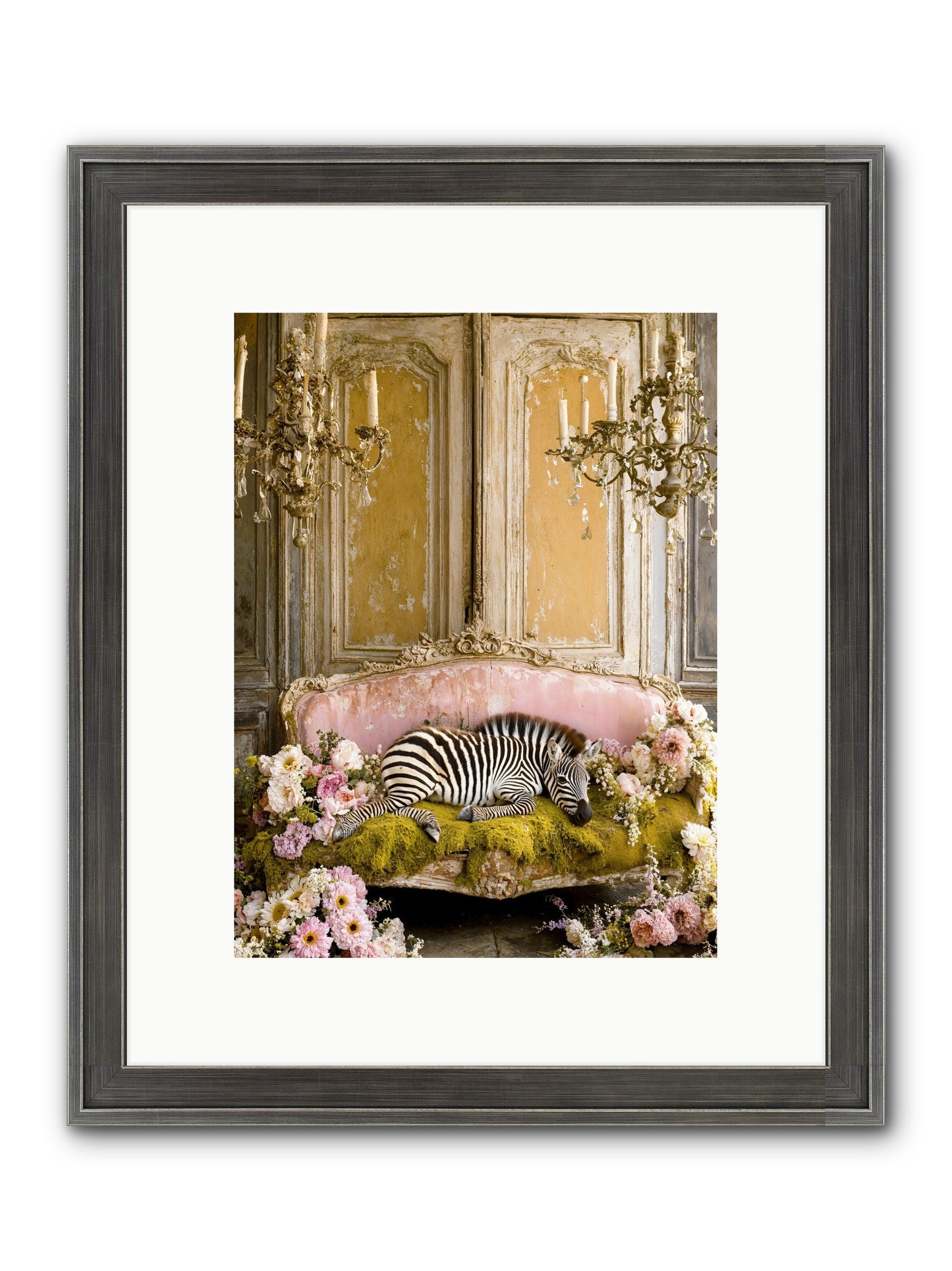 Sanctuary Of Wild Wonder Framed Print - Slimwoods Black/Silver 9x12