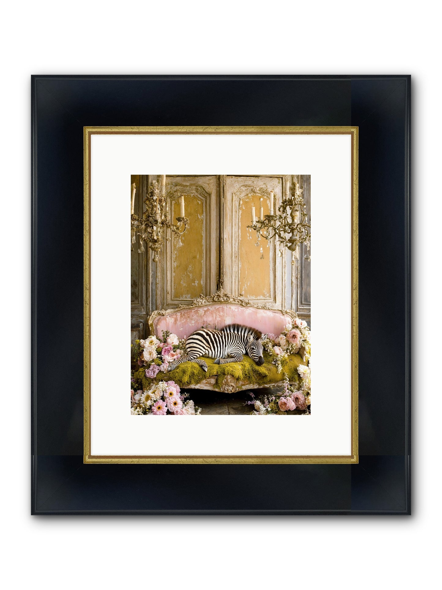 Sanctuary Of Wild Wonder Framed Print - Wide Black w/Gold 9x12