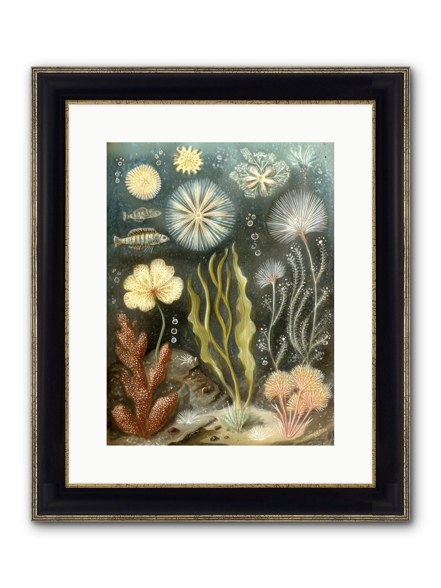 Secret Garden Framed Print - Black & Gold 12x16