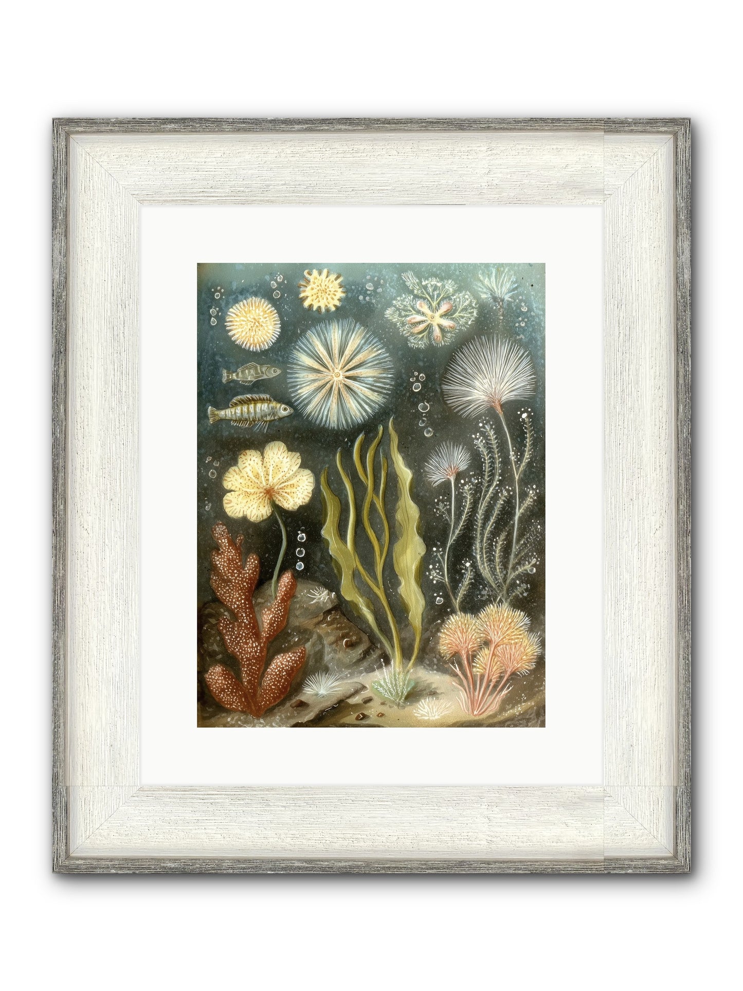Secret Garden Framed Print - Driftwood White 12x16