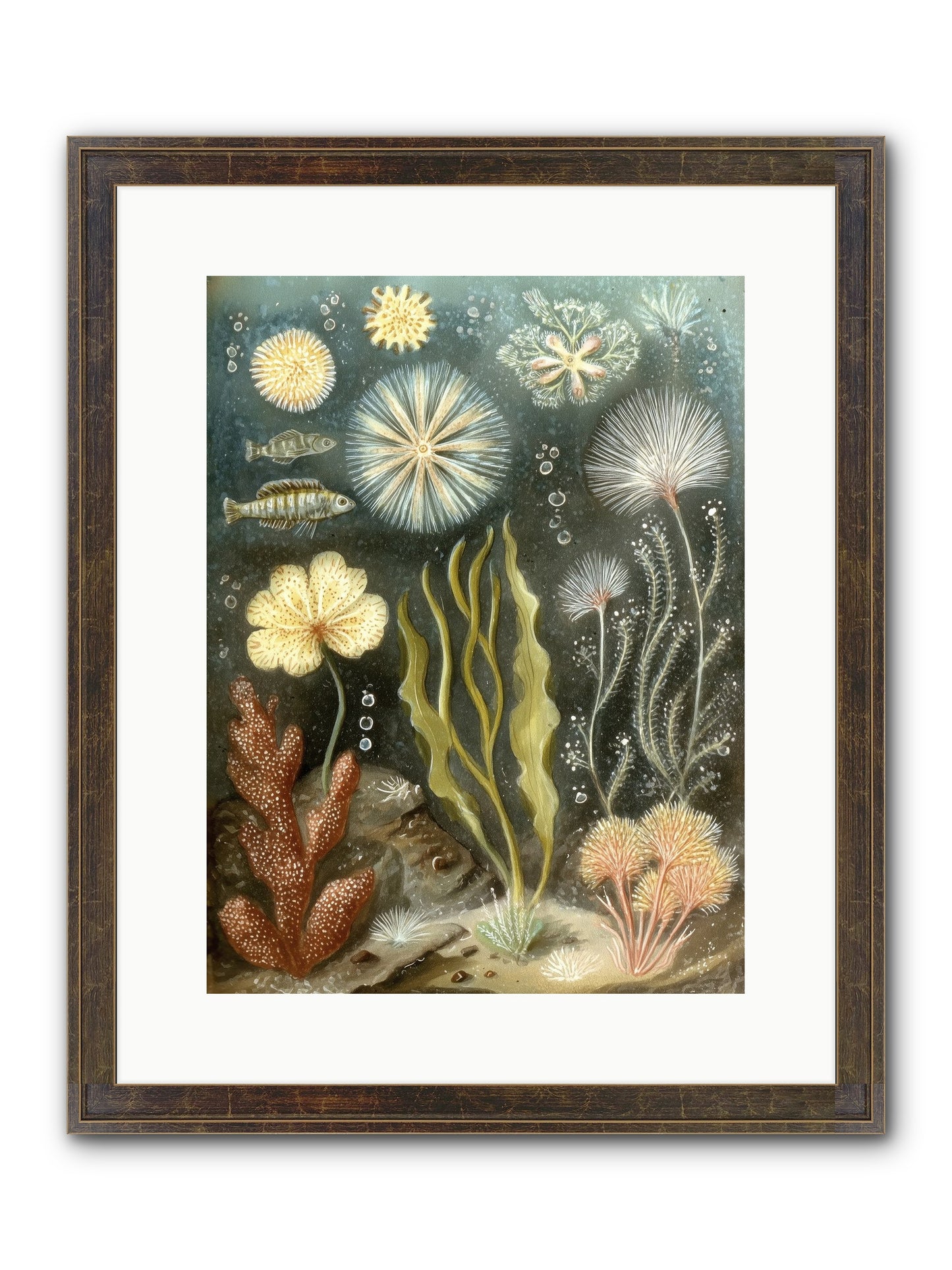 Secret Garden Framed Print - Slimwoods Black/Gold 12x16