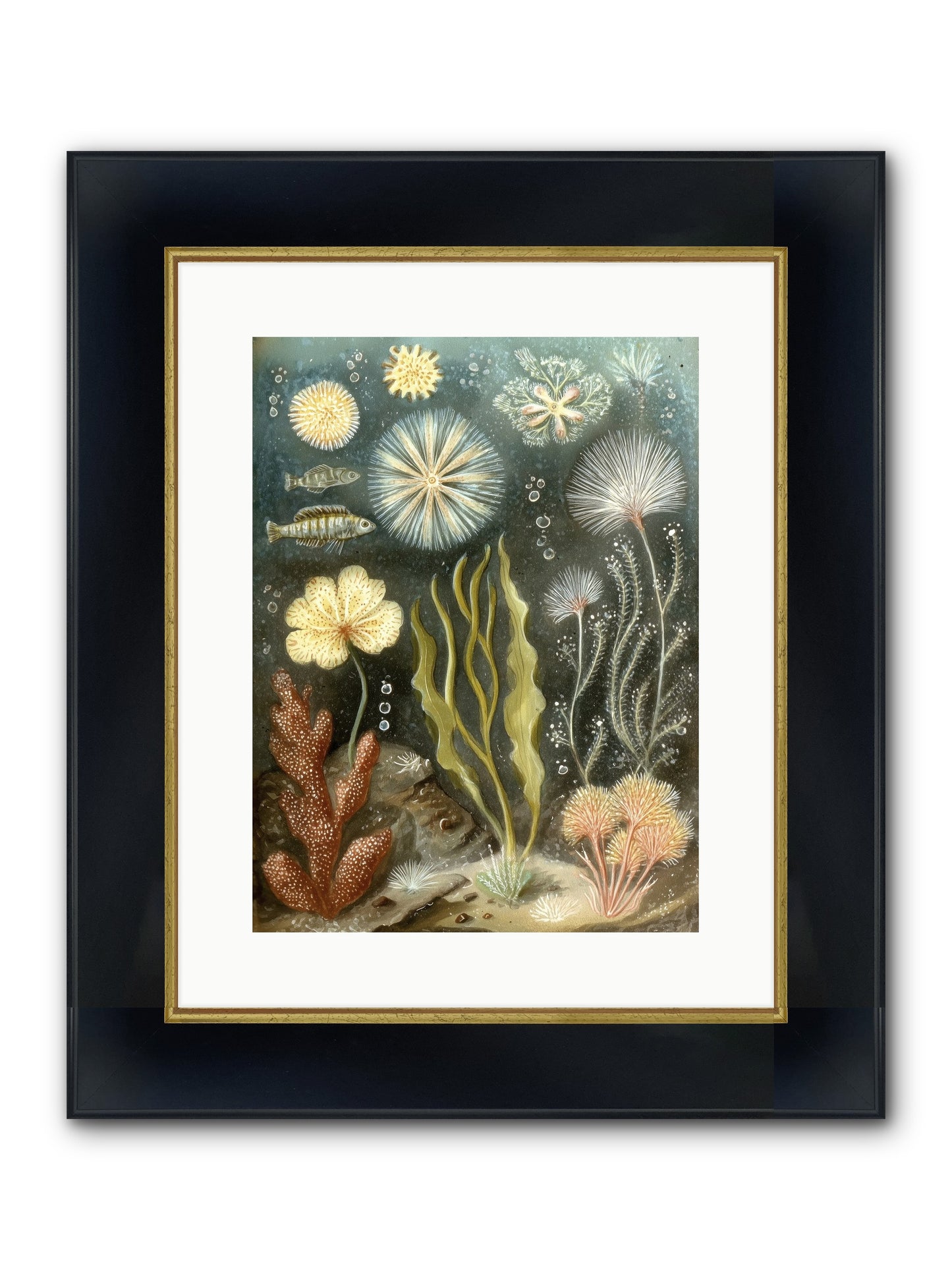 Secret Garden Framed Print - Wide Black w/Gold 12x16