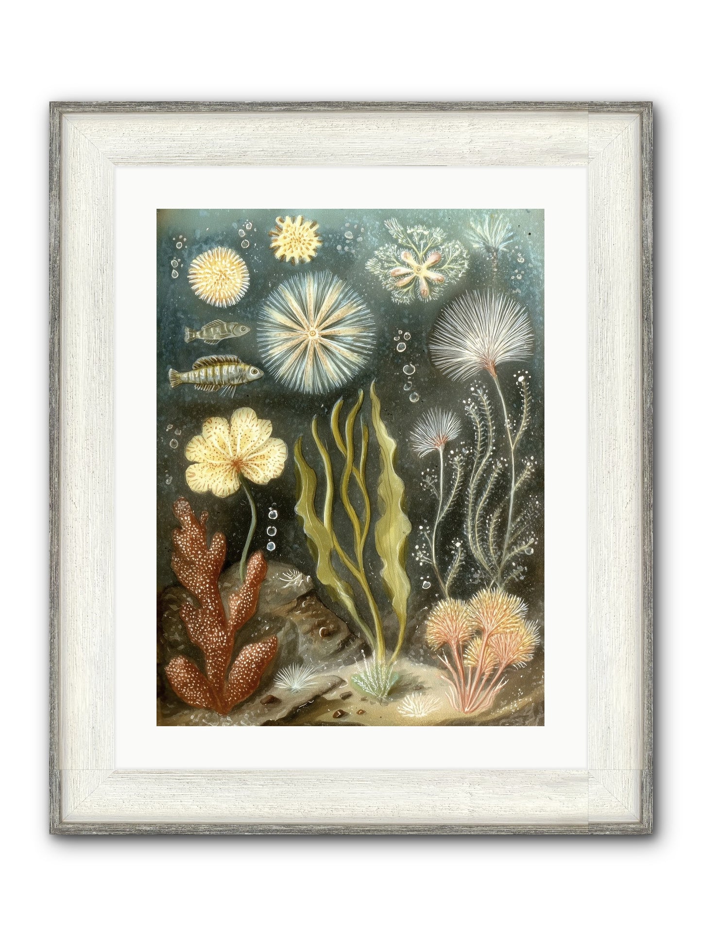 Secret Garden Framed Print - Driftwood White 18x24