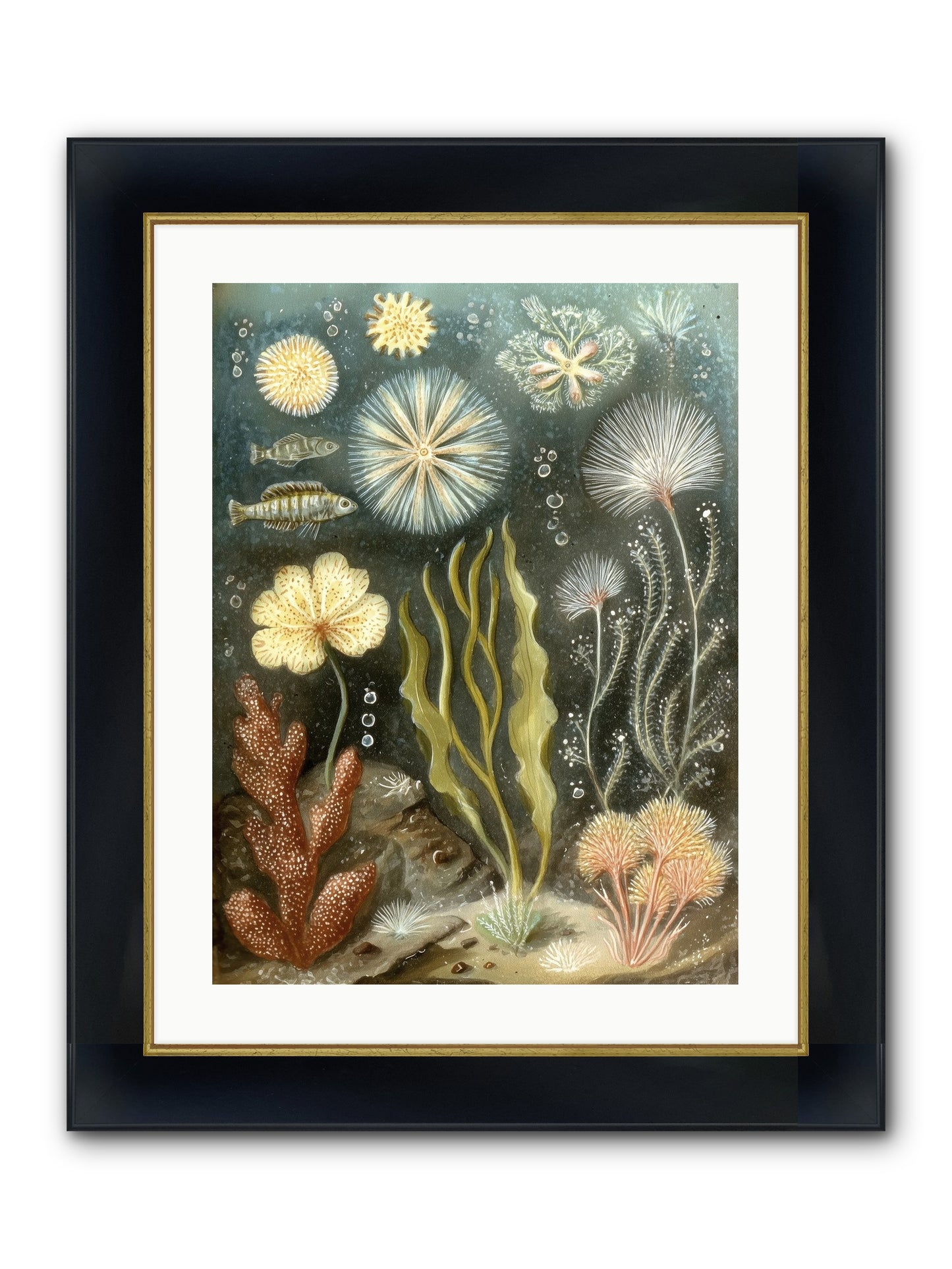 Secret Garden Framed Print - Wide Black w/Gold 18x24