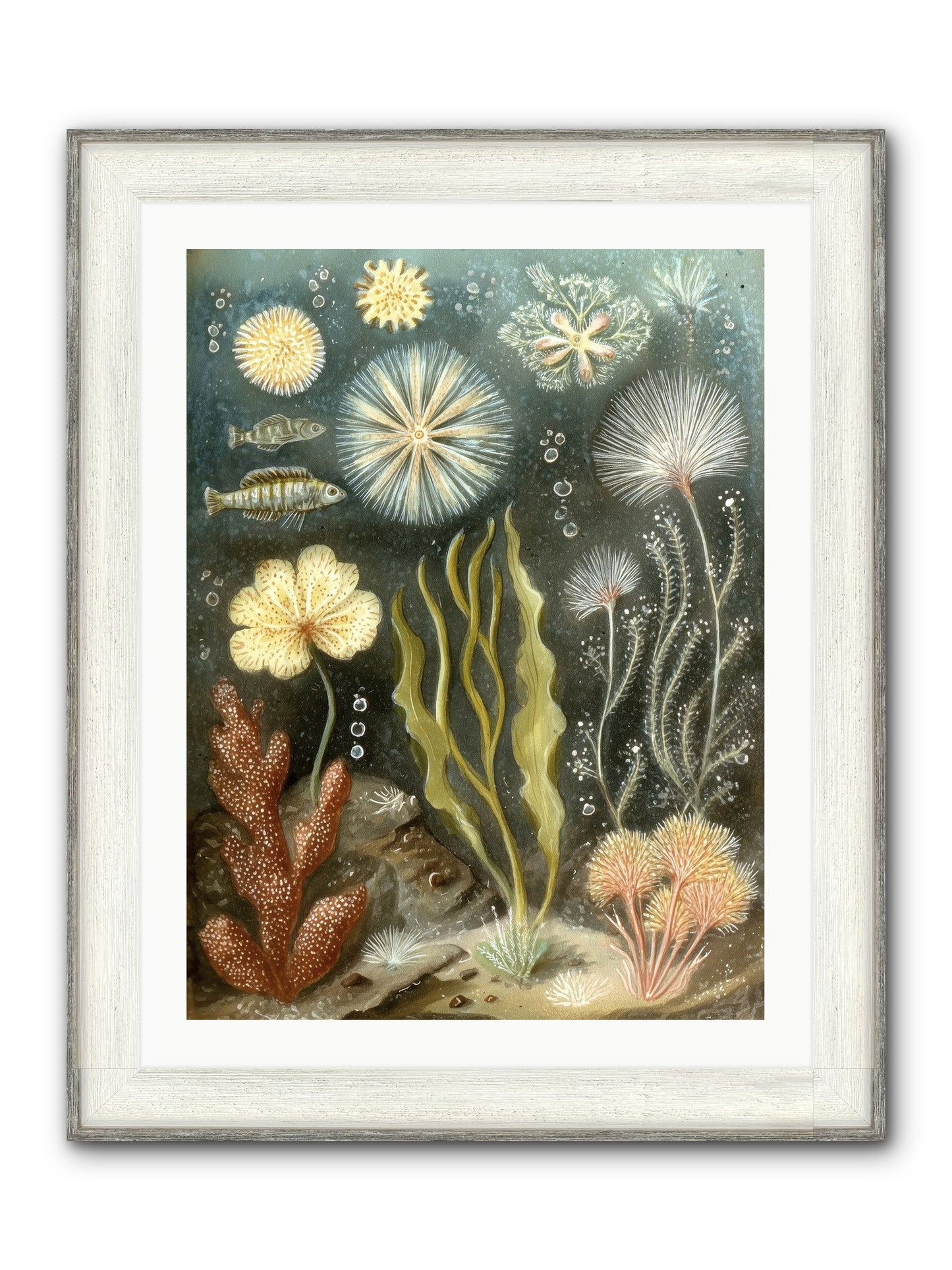 Secret Garden Framed Print - Driftwood White 24x32