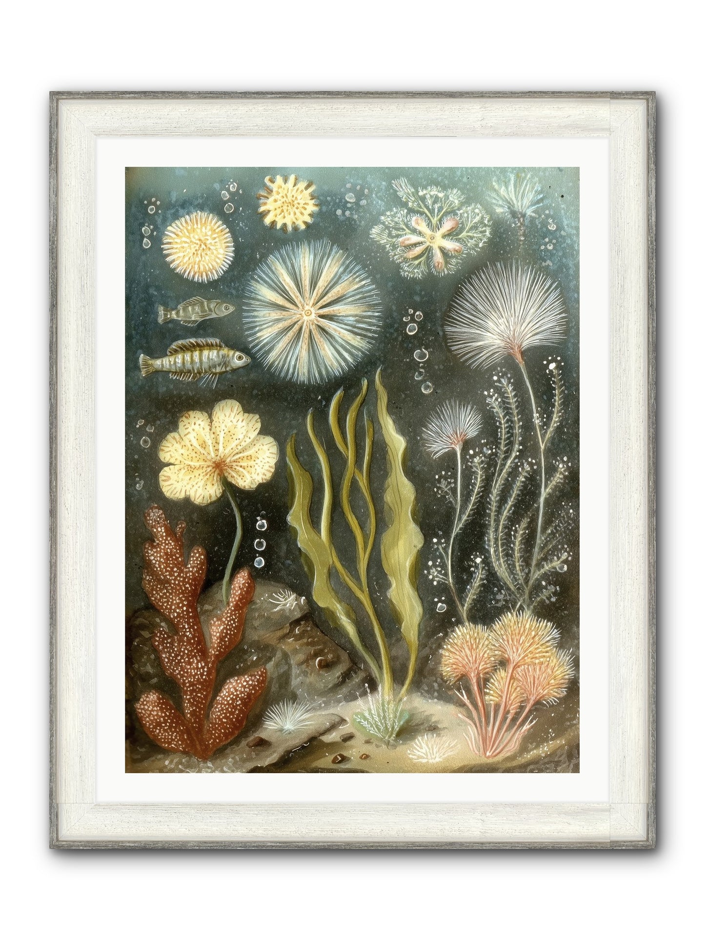 Secret Garden Framed Print - Driftwood White 30x40