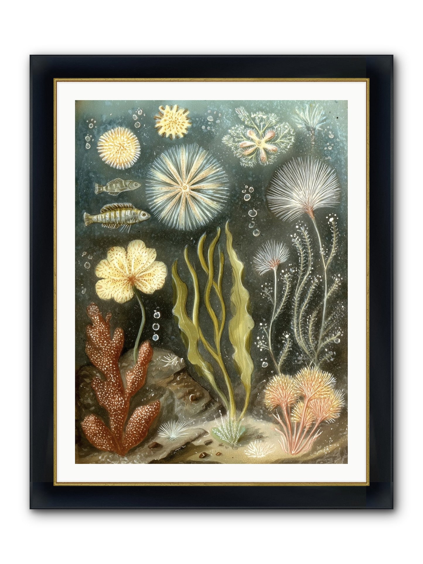 Secret Garden Framed Print - Wide Black w/Gold 30x40