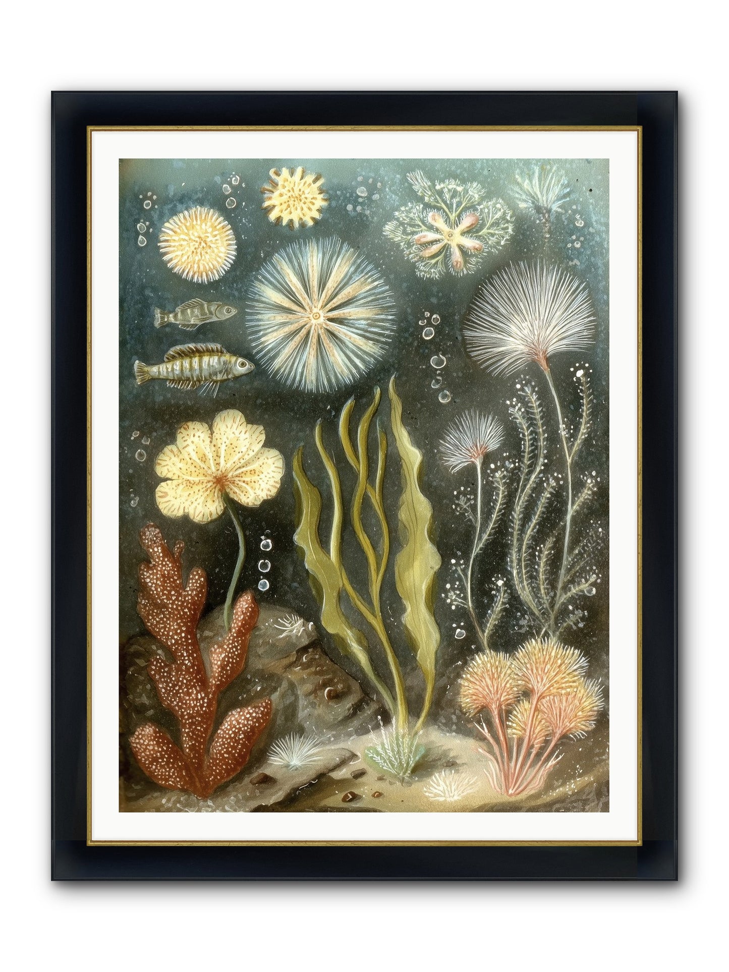 Secret Garden Framed Print - Wide Black w/Gold 36x48