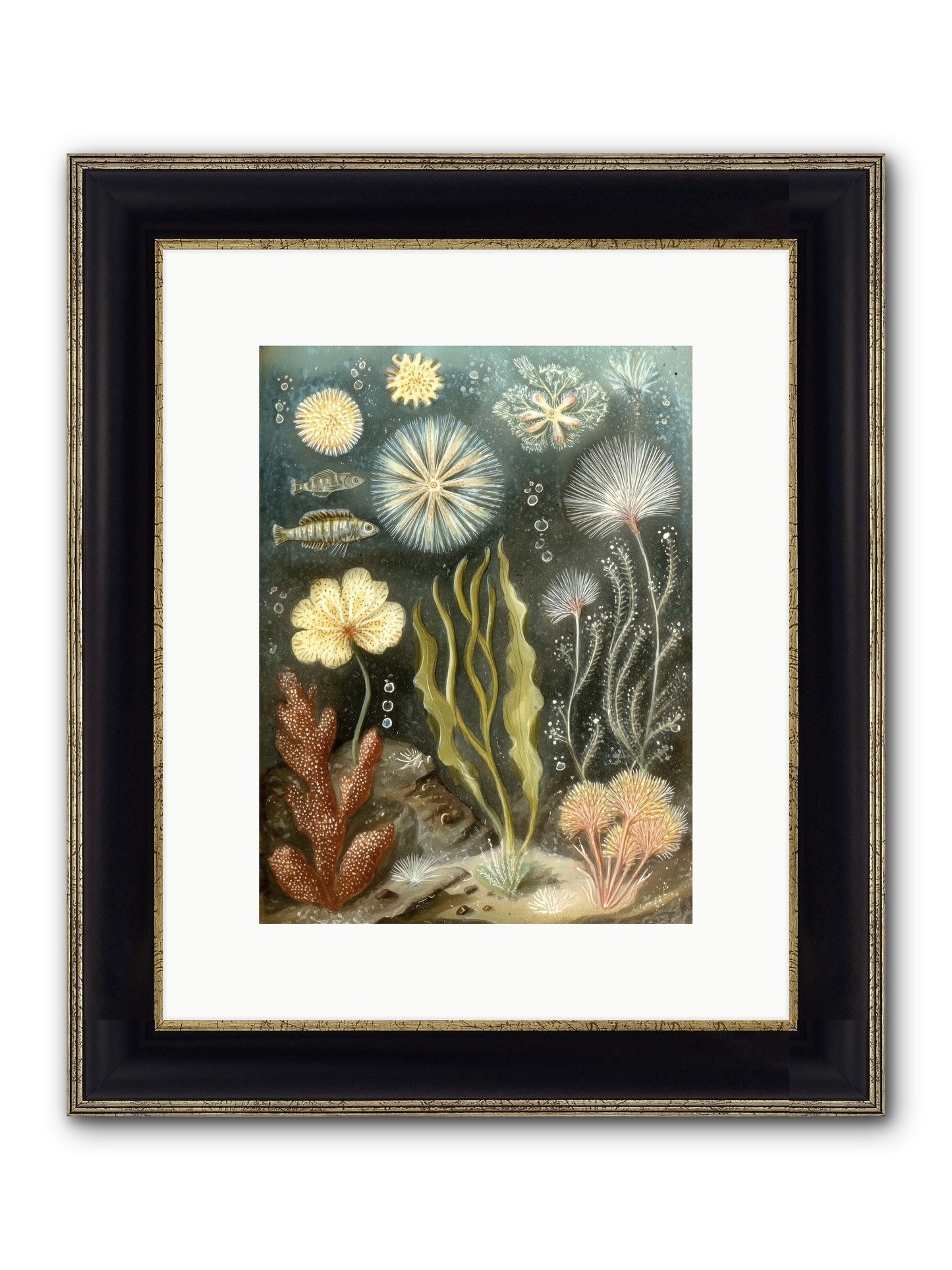 Secret Garden Framed Print - Black & Gold 9x12