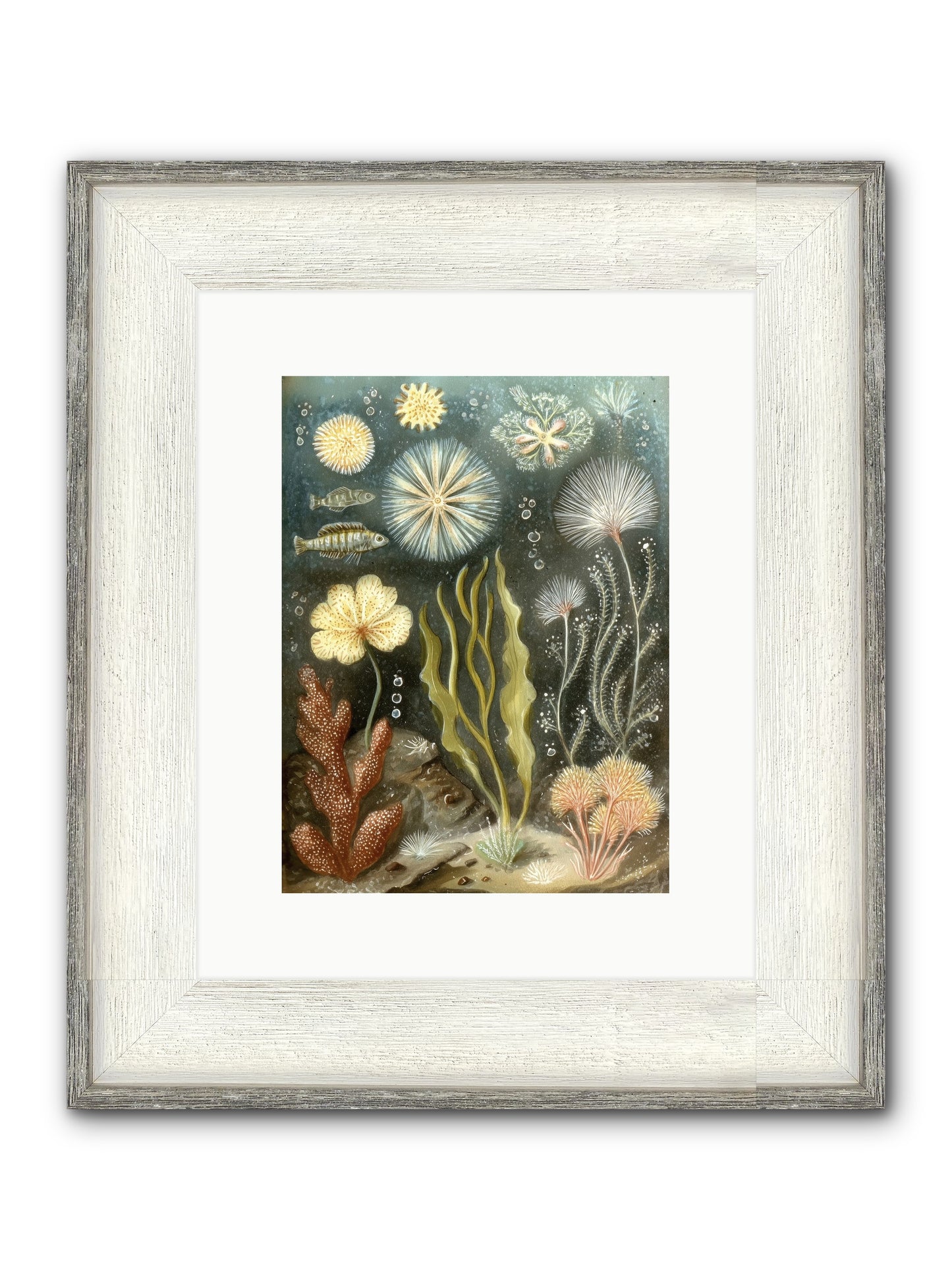 Secret Garden Framed Print - Driftwood White 9x12