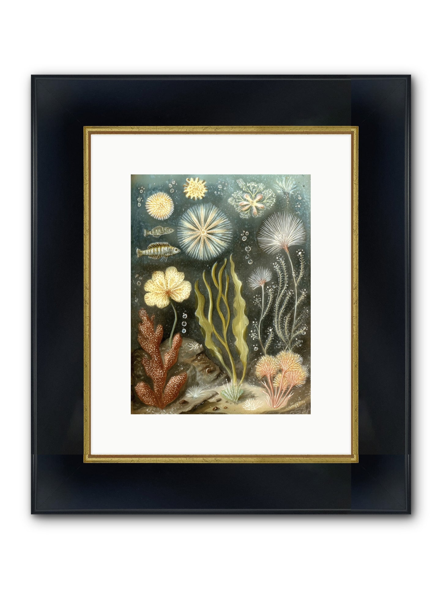 Secret Garden Framed Print - Wide Black w/Gold 9x12