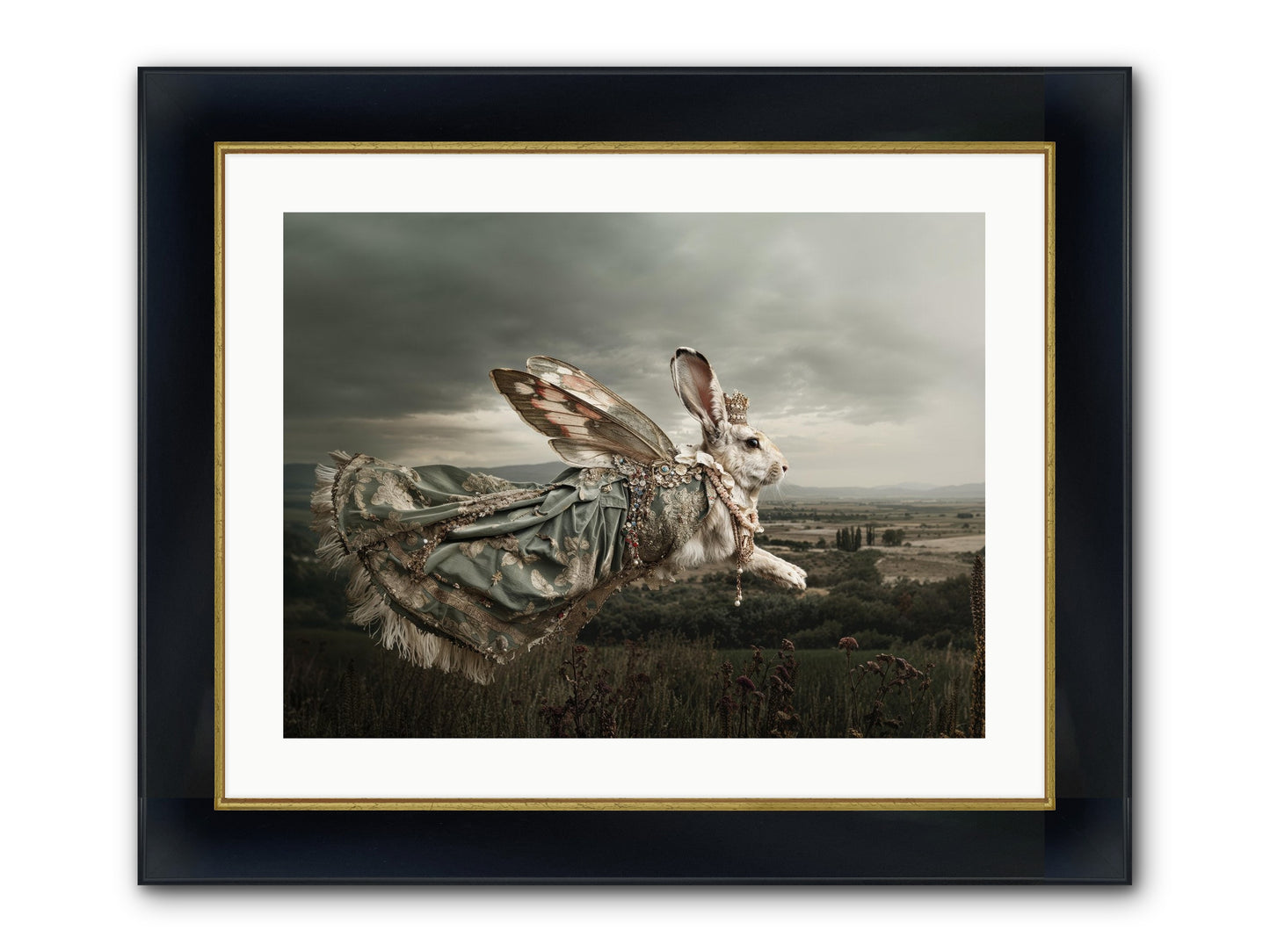 Skywritten Days No.1 Framed Print - Wide Black w/Gold 24x18