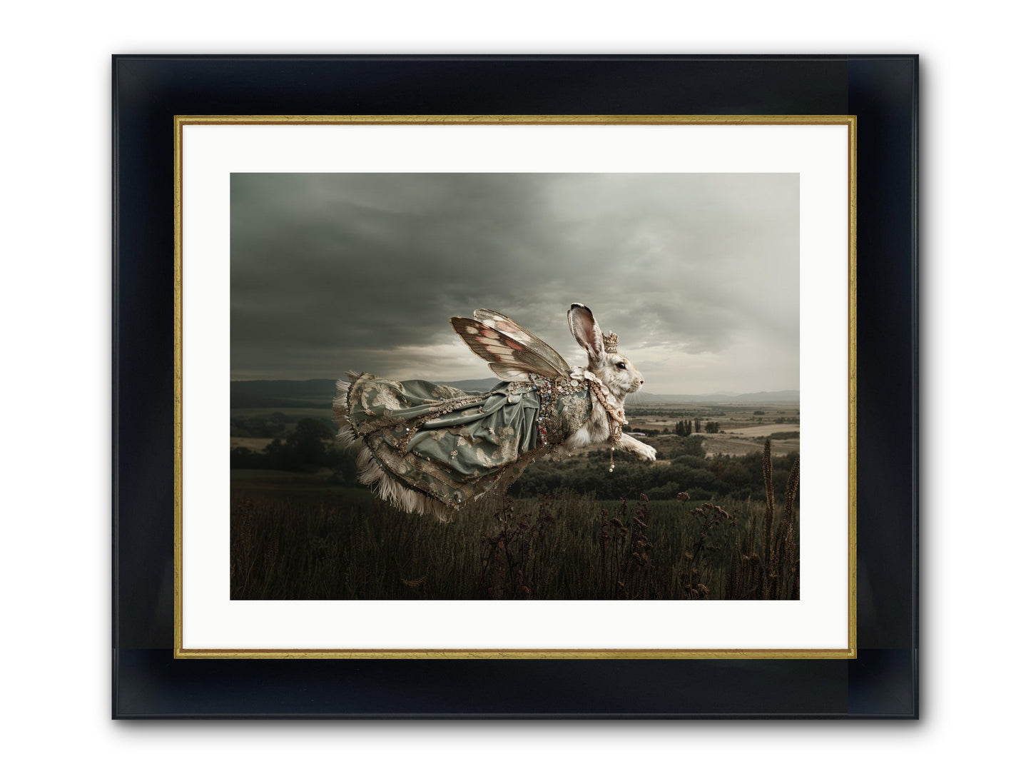 Skywritten Days No.2 Framed Print - Wide Black w/Gold 24x18