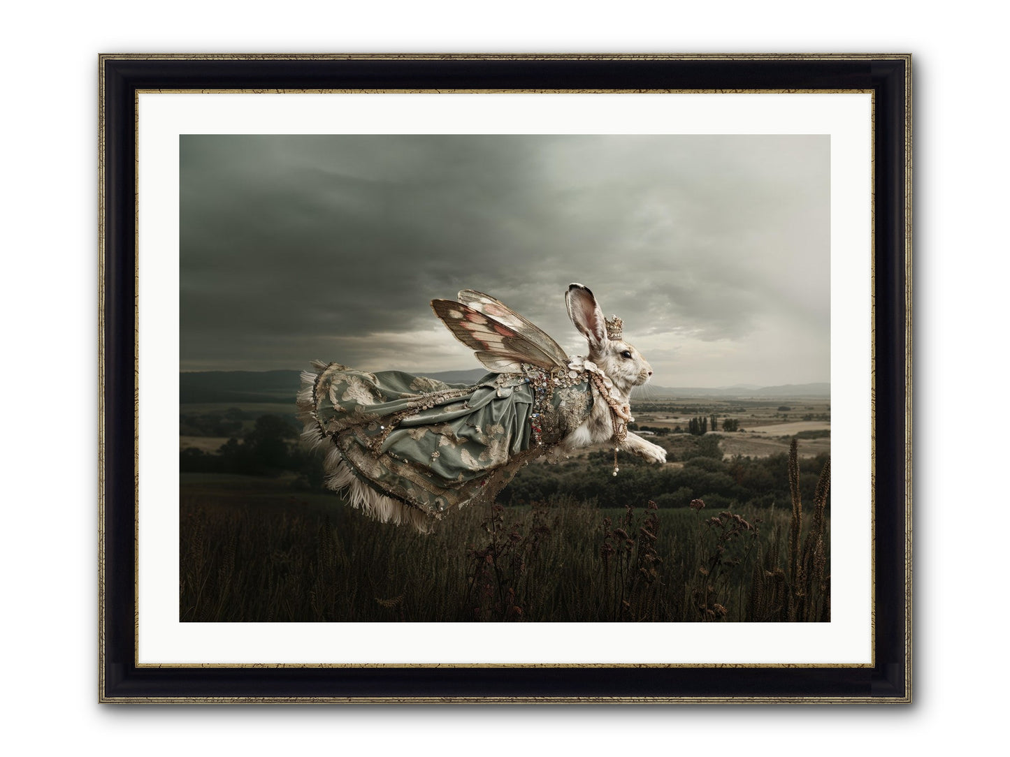 Skywritten Days No.2 Framed Print - Black & Gold 32x24