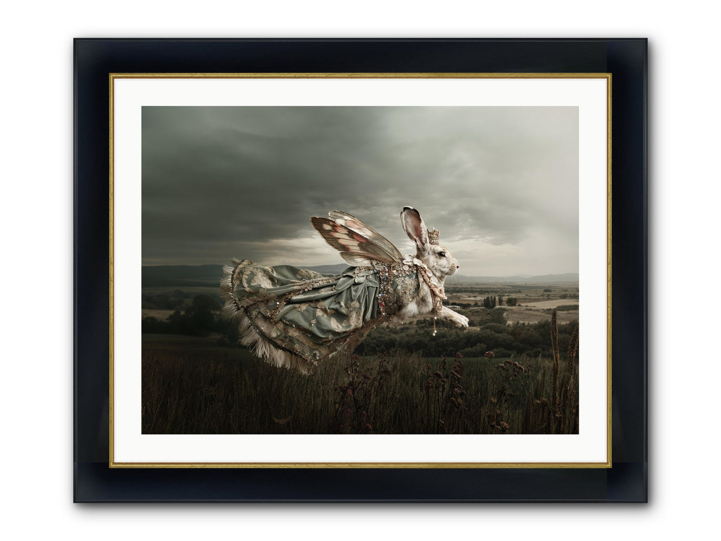 Skywritten Days No.2 Framed Print - Wide Black w/Gold 32x24