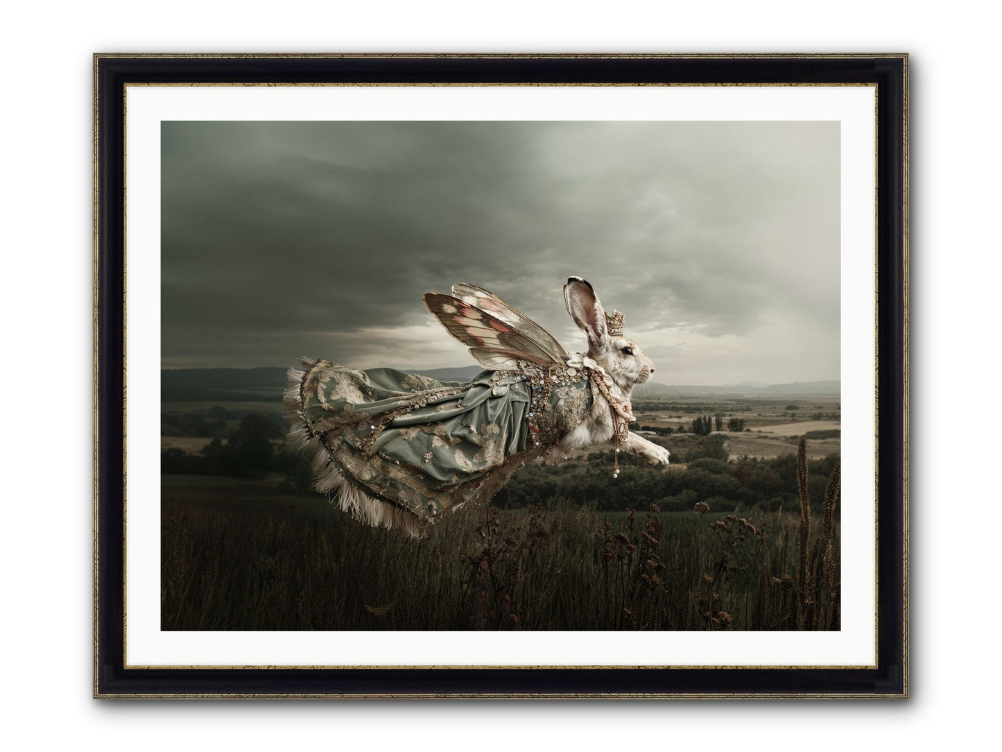 Skywritten Days No.2 Framed Print - Black & Gold 40x30