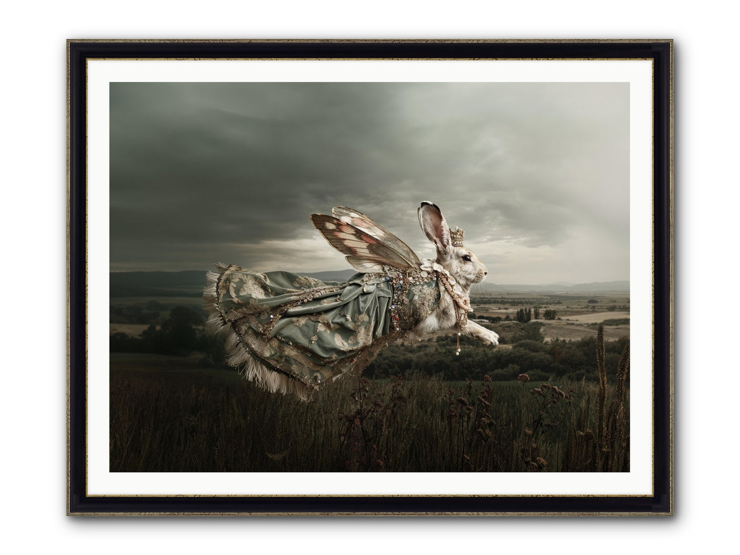 Skywritten Days No.2 Framed Print - Black & Gold 48x36