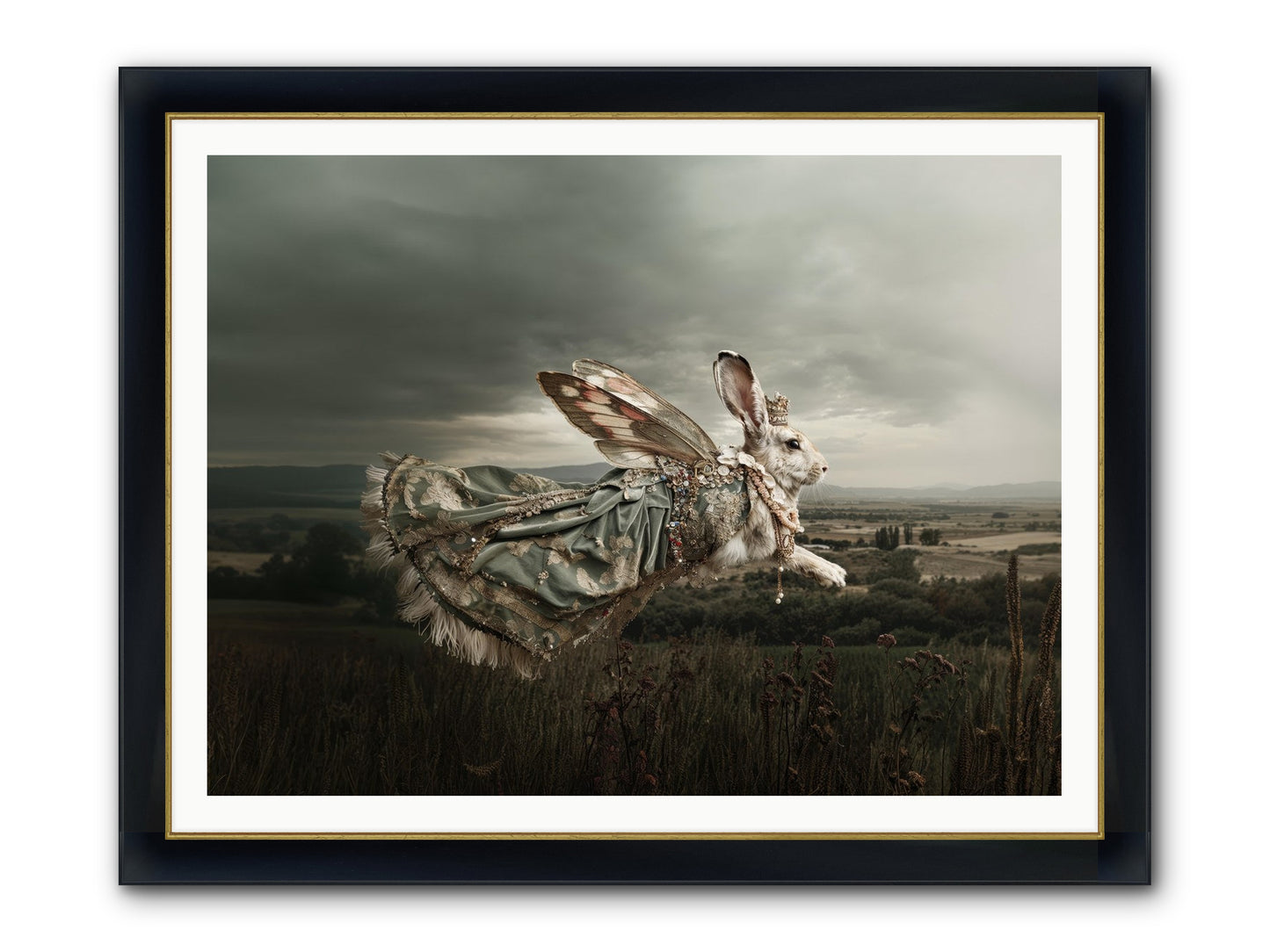 Skywritten Days No.2 Framed Print - Wide Black w/Gold 48x36