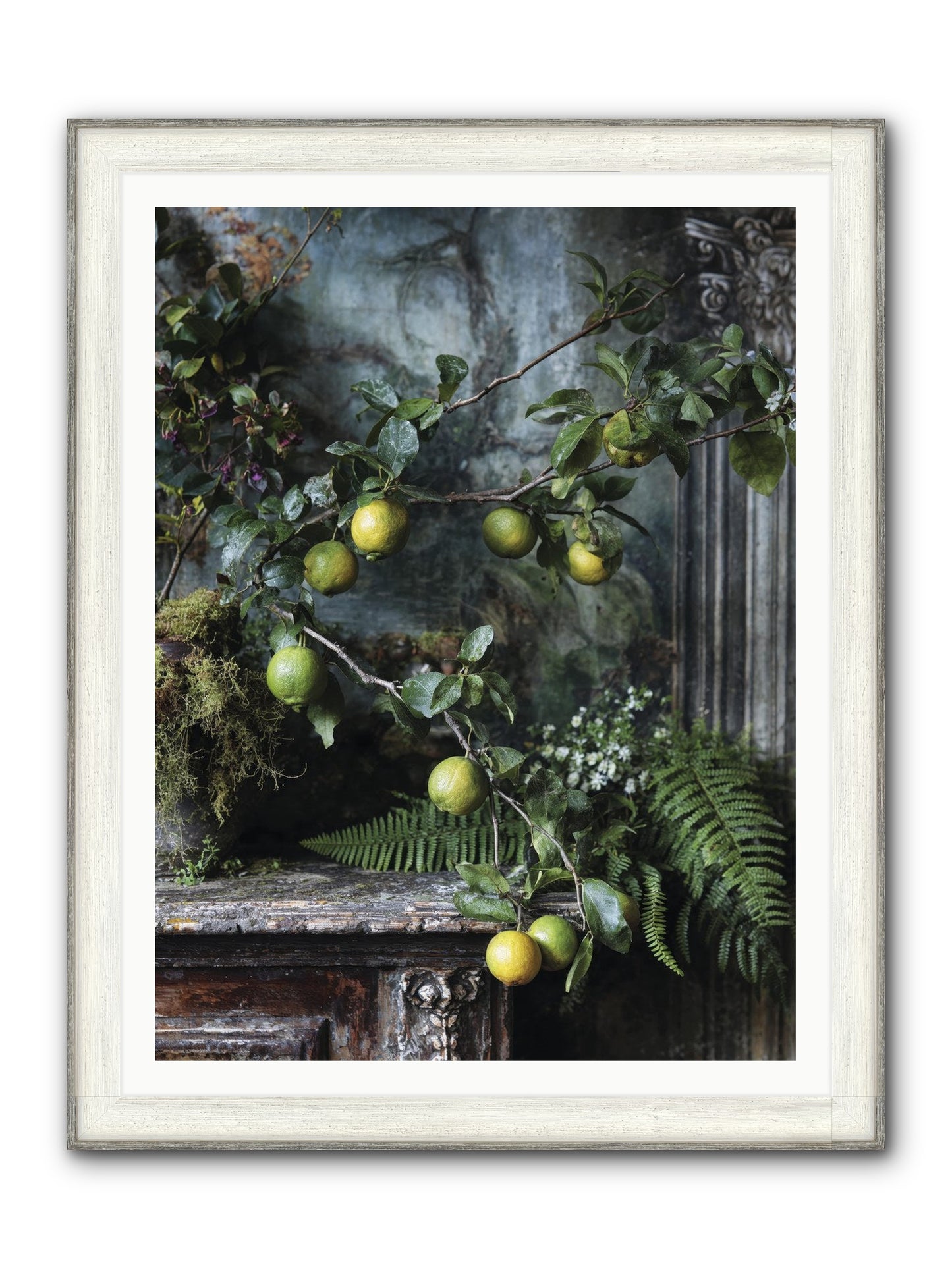 Somerset Framed Print - Driftwood White 36x48