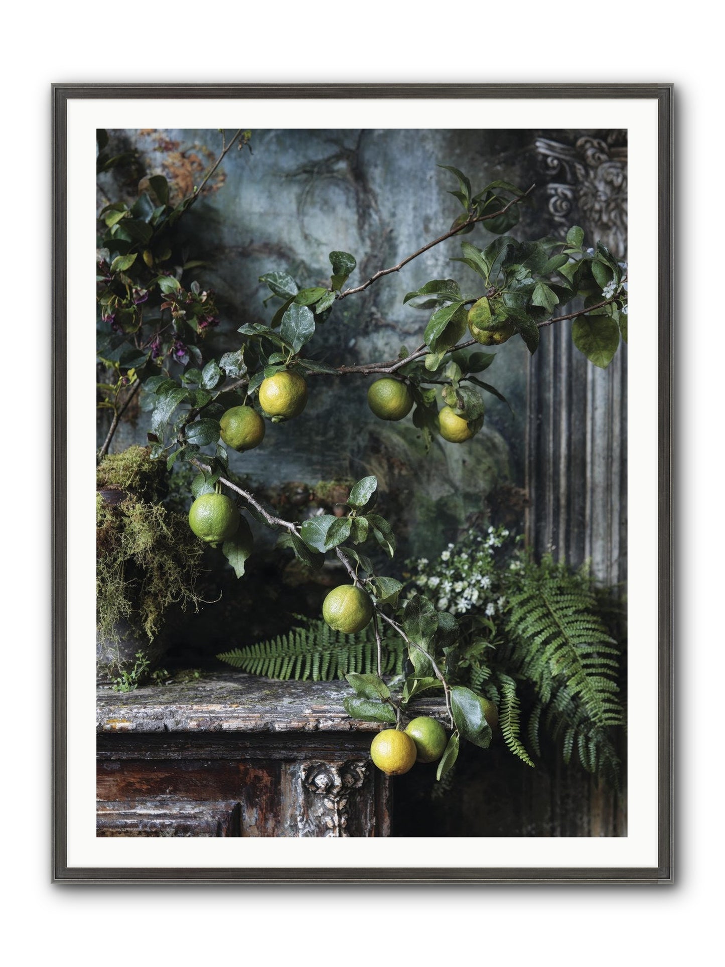 Somerset Framed Print - Slimwoods Black/Silver 36x48