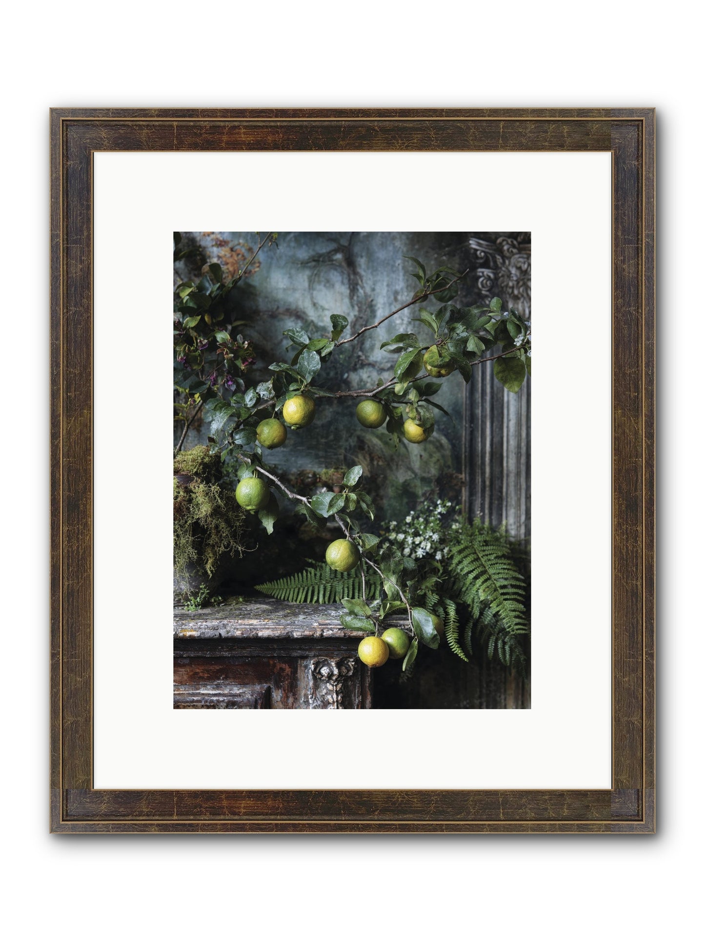 Somerset Framed Print - Slimwoods Black/Gold 9x12