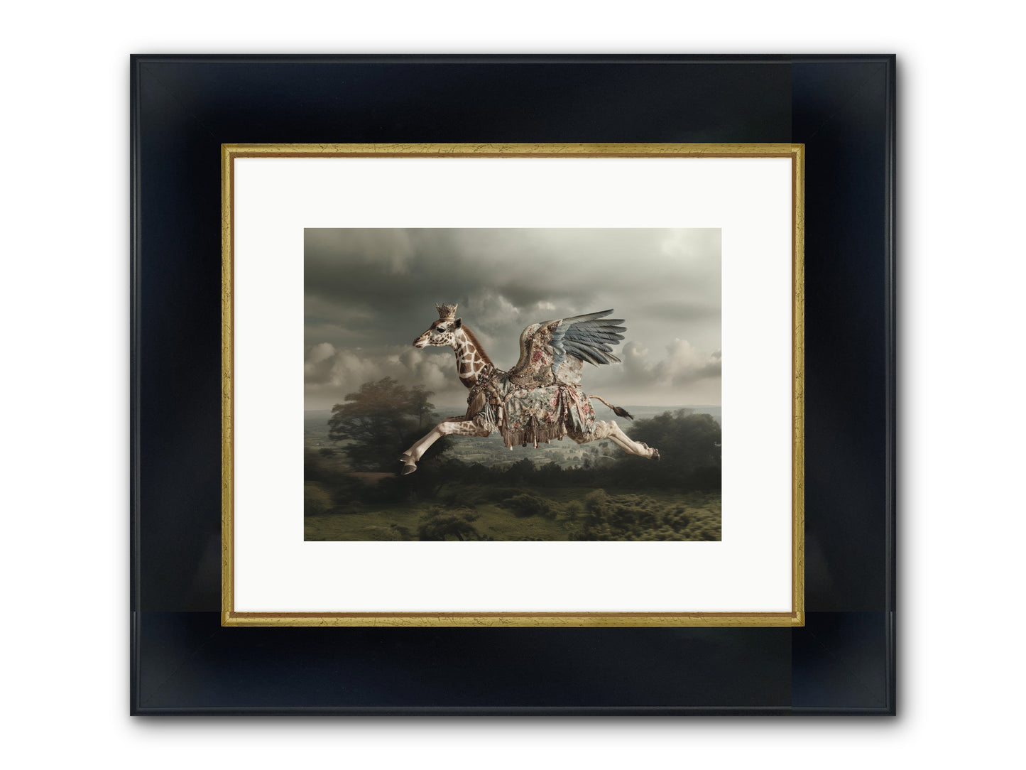 Song For A Golden Field Framed Print - Wide Black w/Gold 12x9