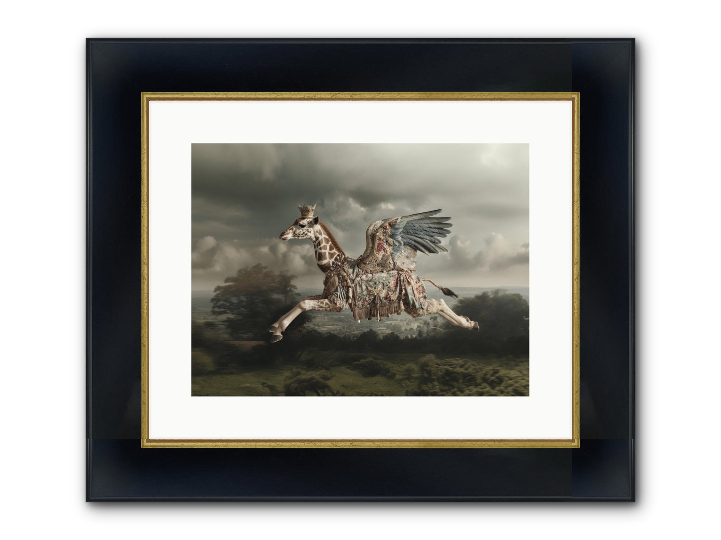 Song For A Golden Field Framed Print - Wide Black w/Gold 16x12