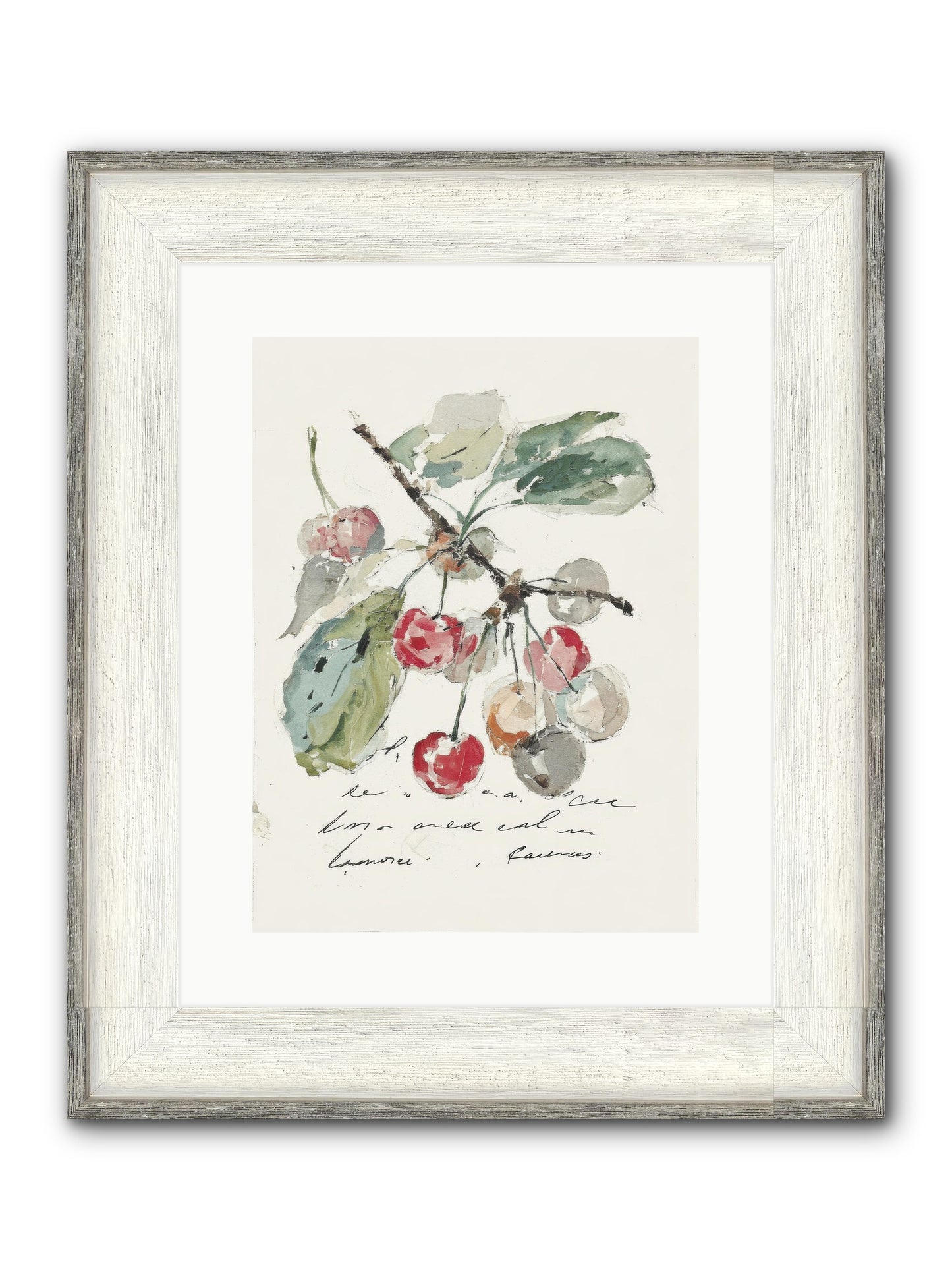 Stem And Story Framed Print - Driftwood White 12x16