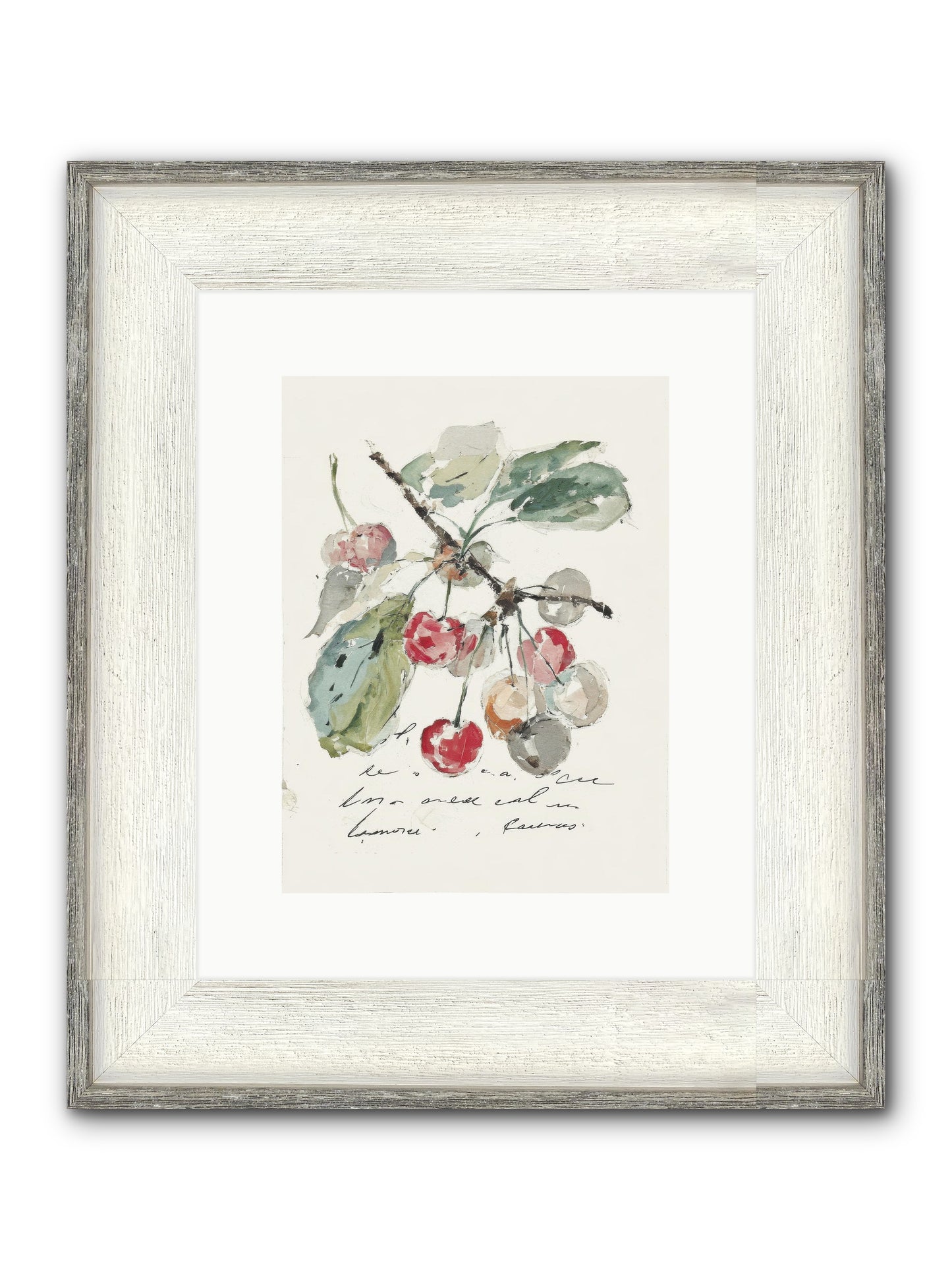 Stem And Story Framed Print - Driftwood White 9x12